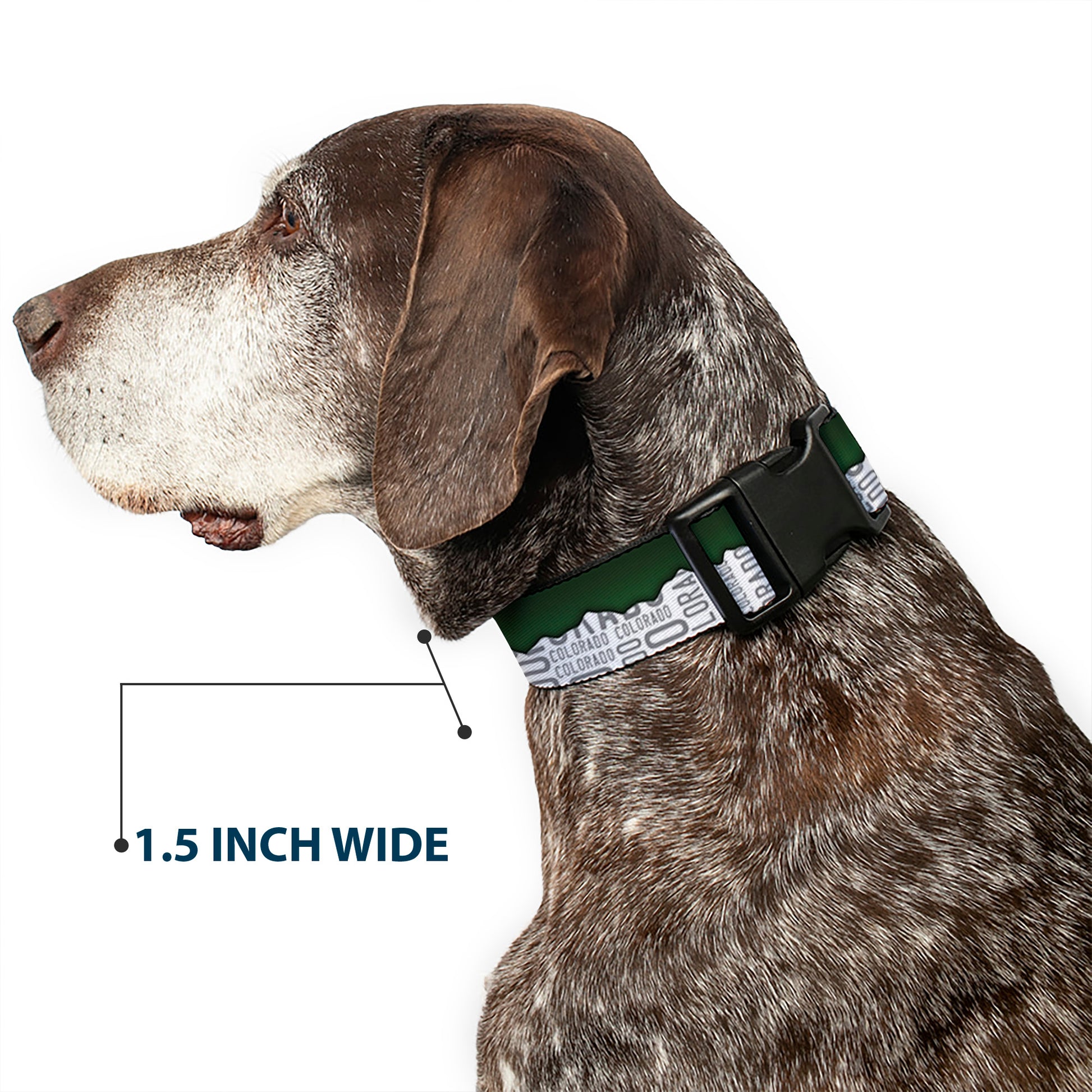 Plastic Clip Collar - Colorado Mountains Green/White/Gray Text Plastic Clip Collars Buckle-Down