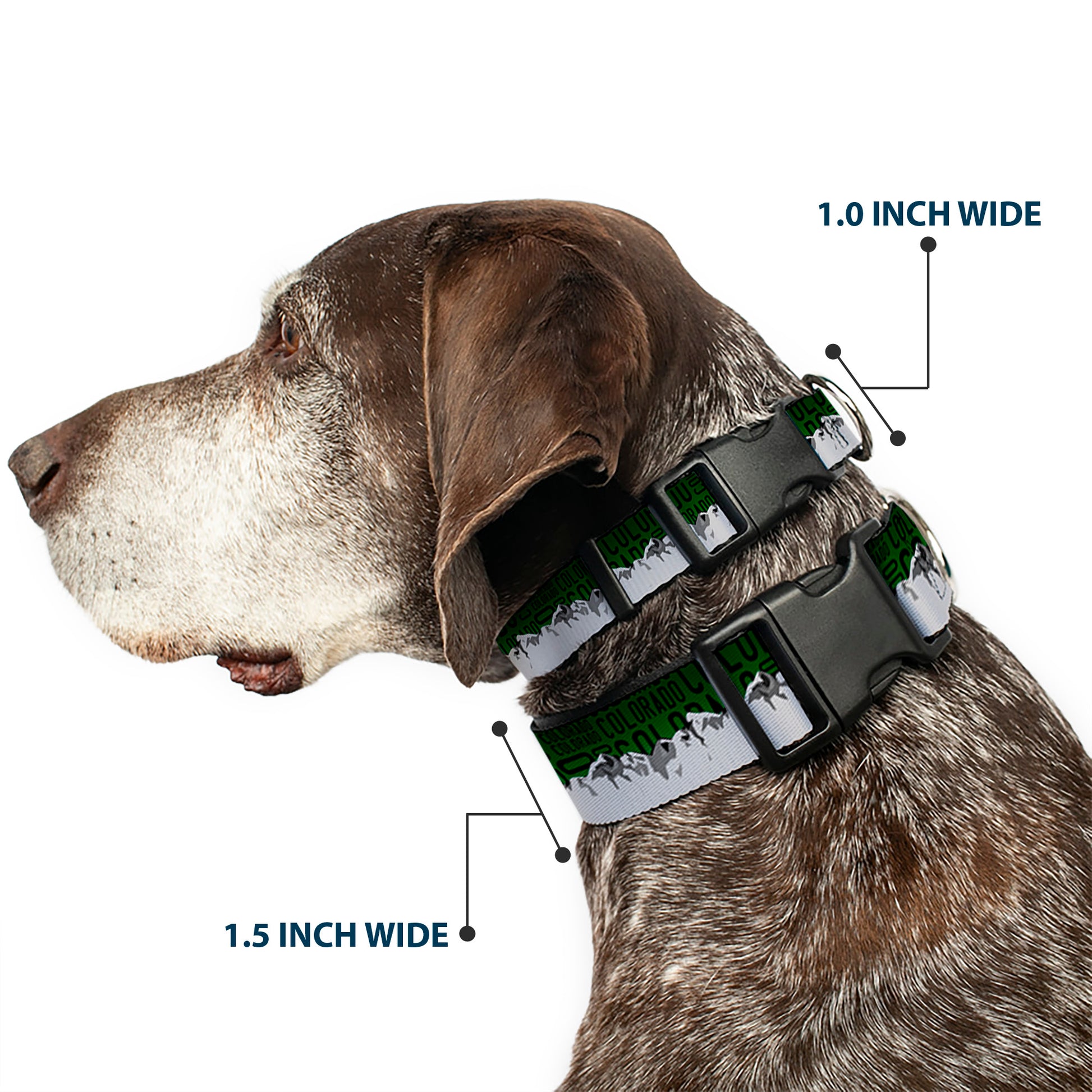 Plastic Clip Collar - Colorado Mountains Green/Black Text/Grays Plastic Clip Collars Buckle-Down