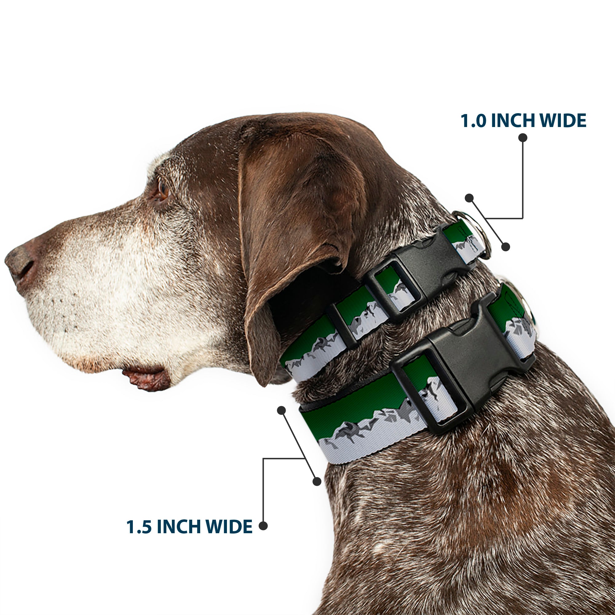 Plastic Clip Collar - Colorado Mountains Green/Grays Plastic Clip Collars Buckle-Down
