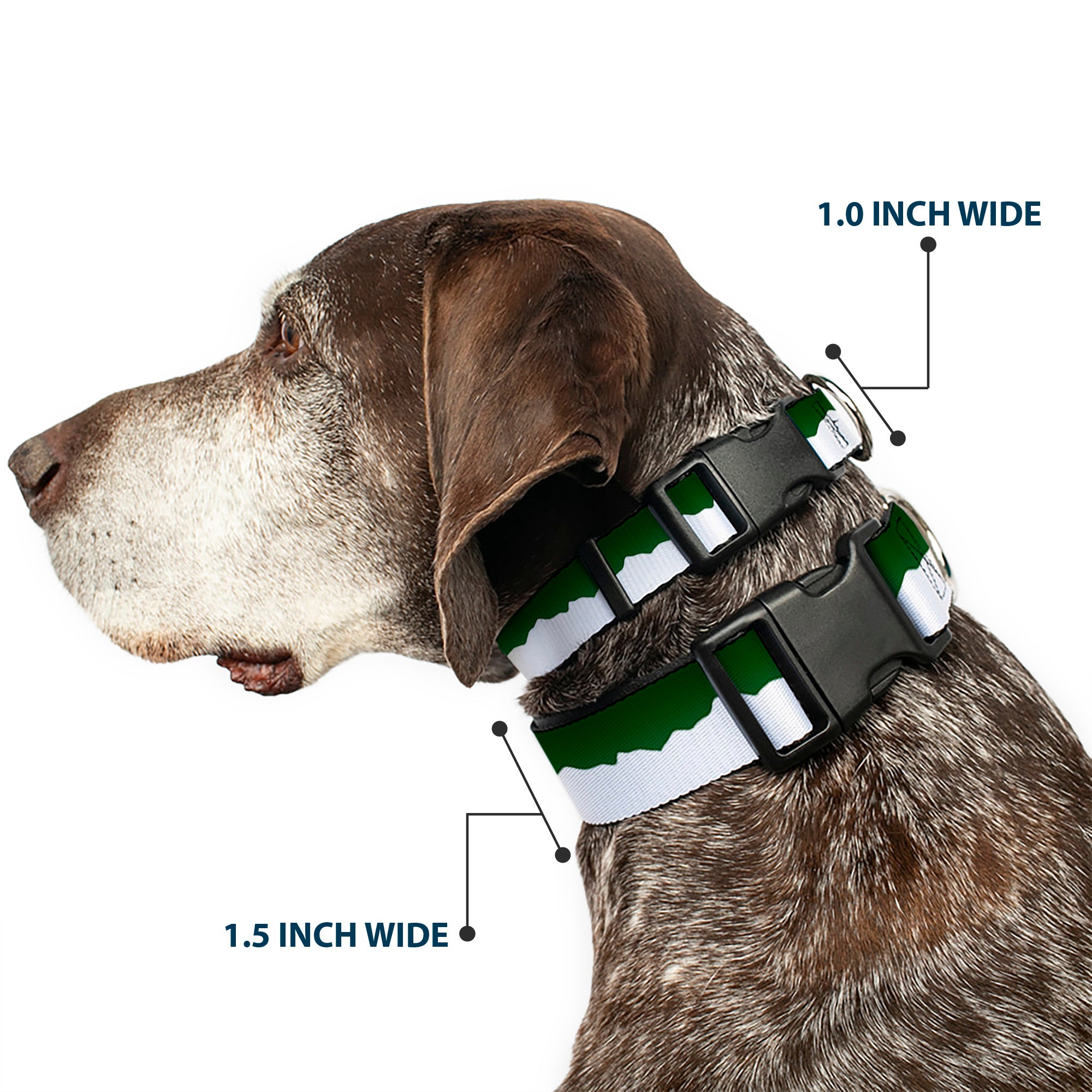 Plastic Clip Collar - Colorado Solid Mountains Green/White Plastic Clip Collars Buckle-Down