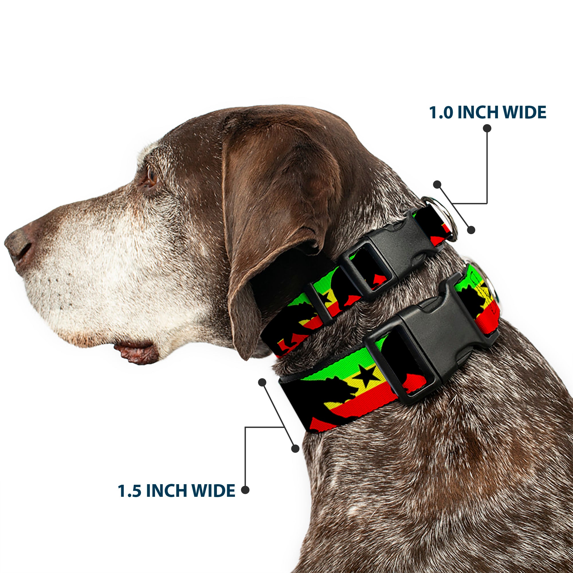 Plastic Clip Collar - Cali Bear/Star Silhouette Rasta/Black Plastic Clip Collars Buckle-Down