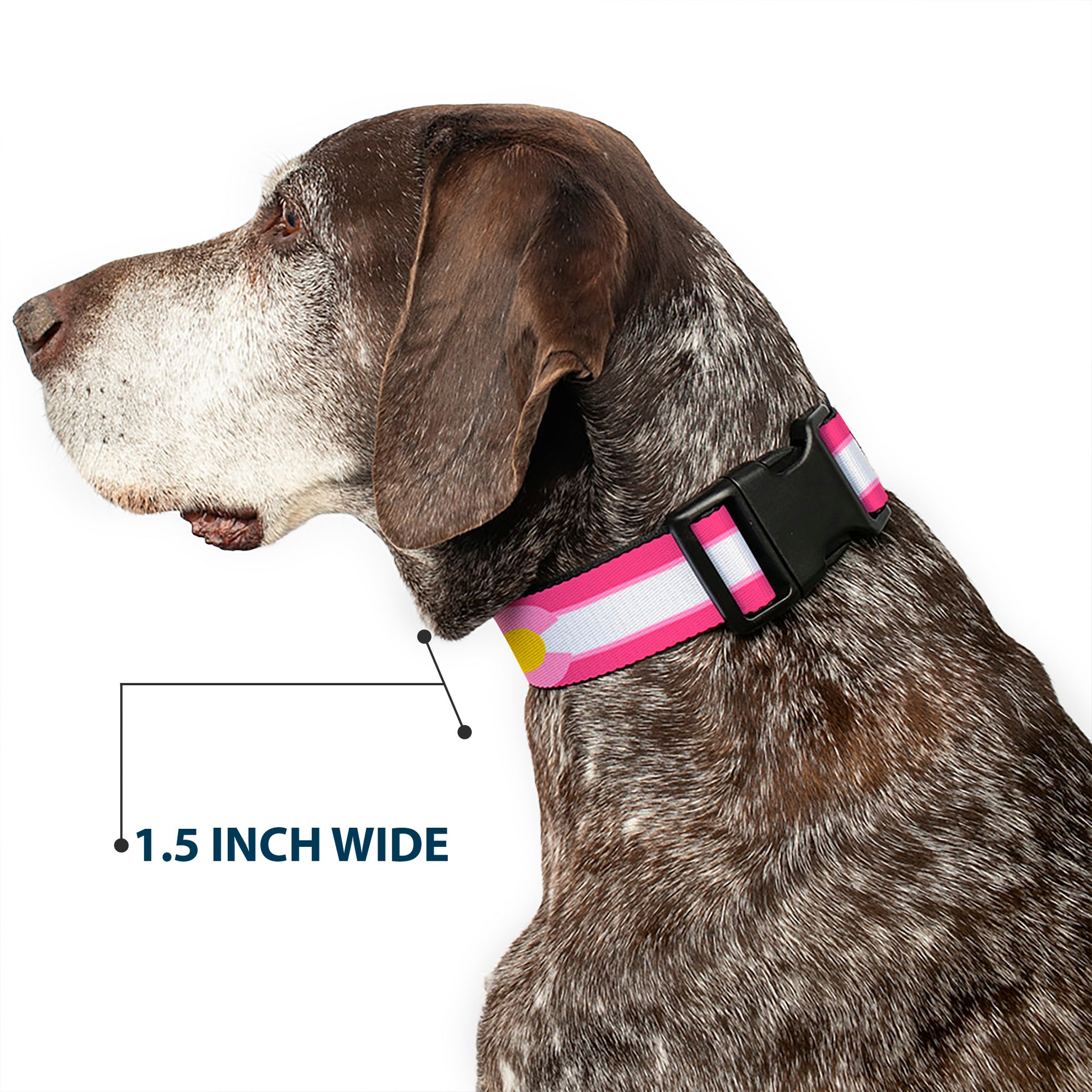 Plastic Clip Collar - Colorado Flags7 Repeat Pinks/White/Light Pink/Yellow Plastic Clip Collars Buckle-Down
