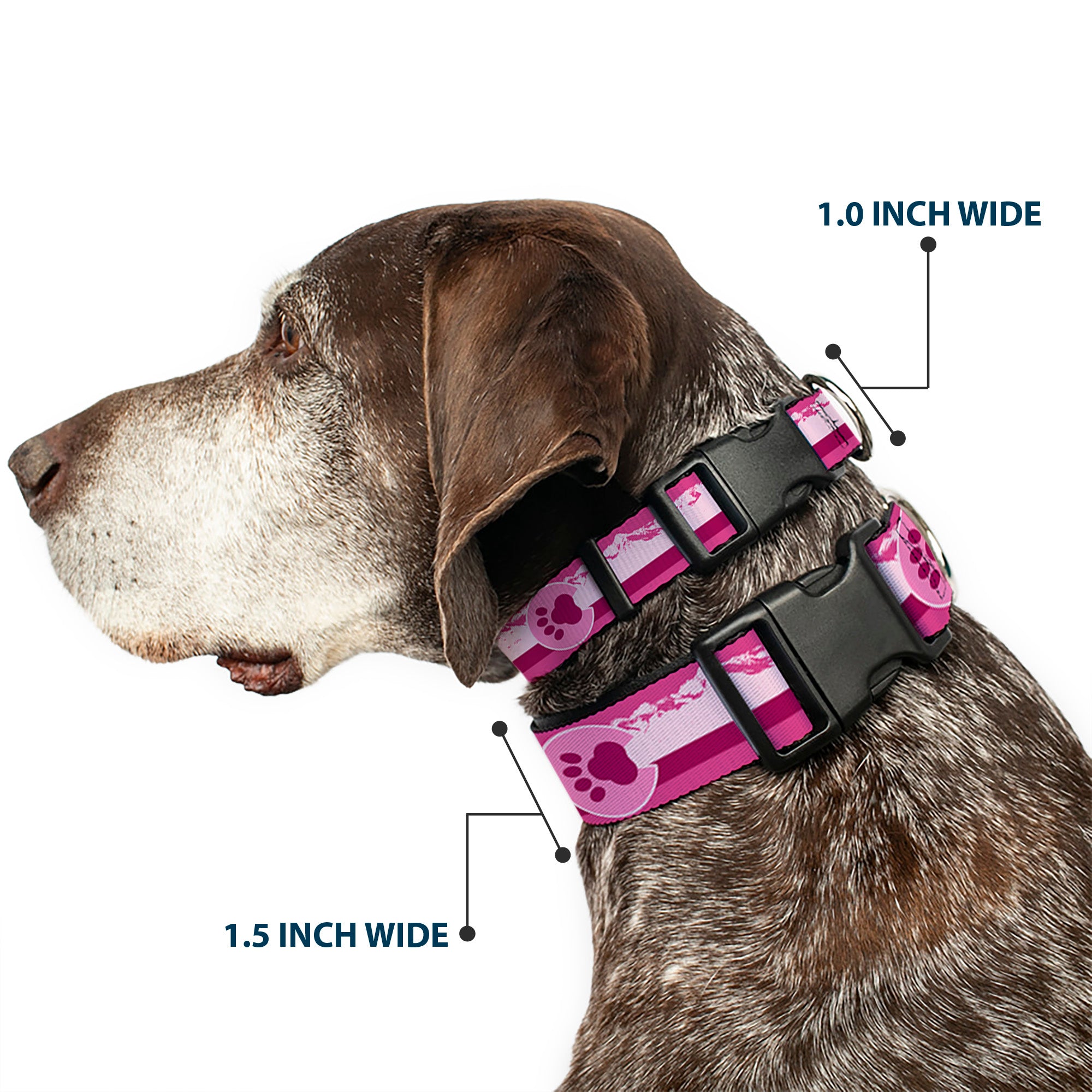 Plastic Clip Collar - Colorado Paw/Mountains Pinks Plastic Clip Collars Buckle-Down