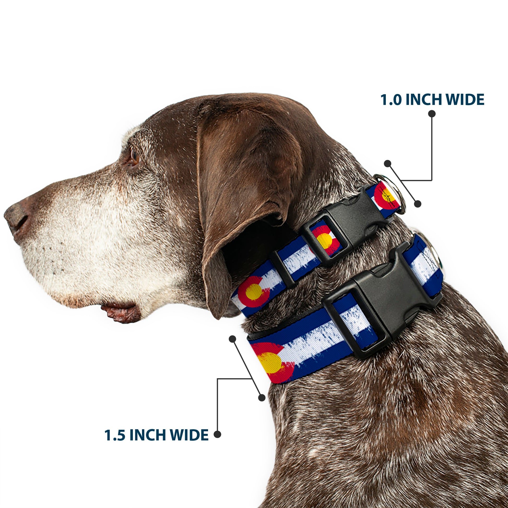 Plastic Clip Collar - Colorado Flags2 Repeat Weathered Plastic Clip Collars Buckle-Down