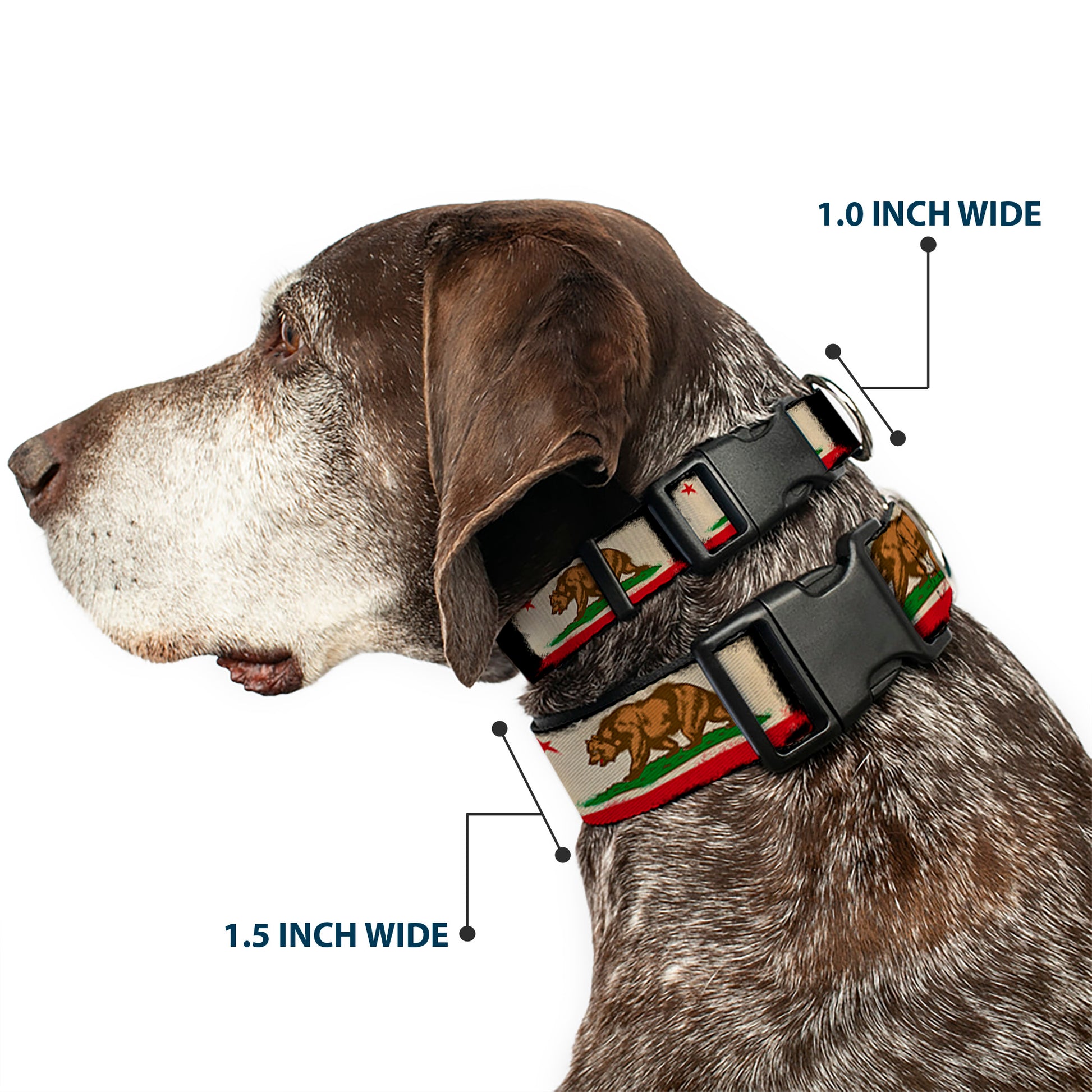Plastic Clip Collar - California Flag Distressed Painting Blocks Plastic Clip Collars Buckle-Down