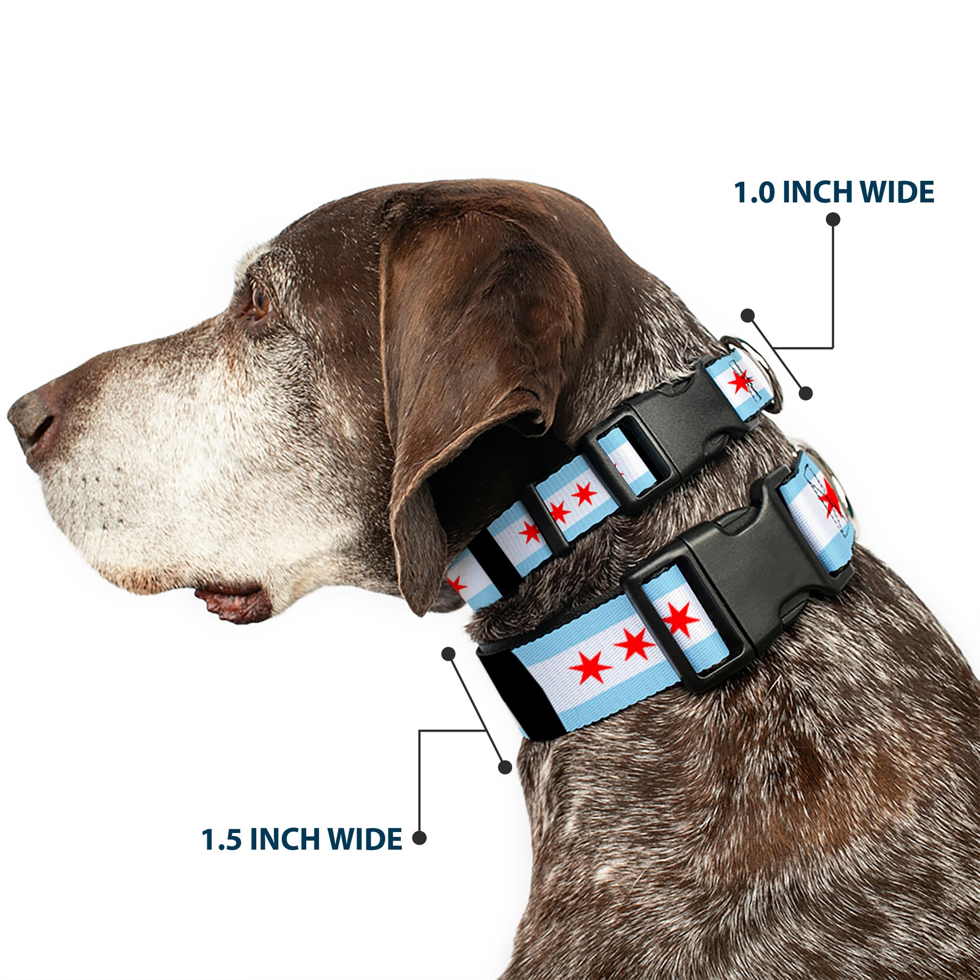 Plastic Clip Collar - Chicago Flags/Black Plastic Clip Collars Buckle-Down