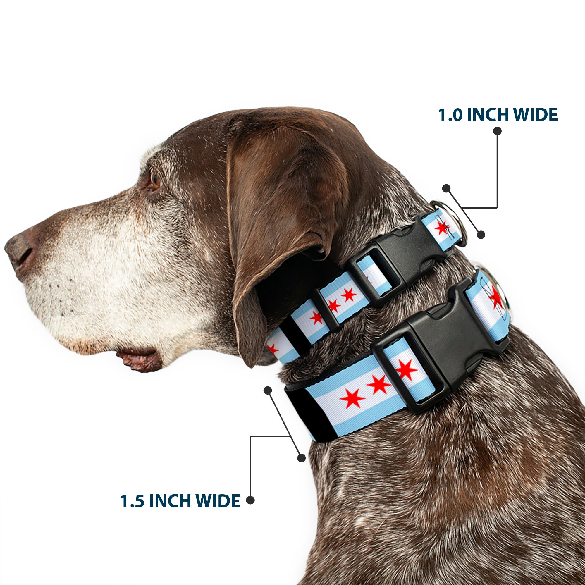 Plastic Clip Collar - Chicago Flags/Black Plastic Clip Collars Buckle-Down