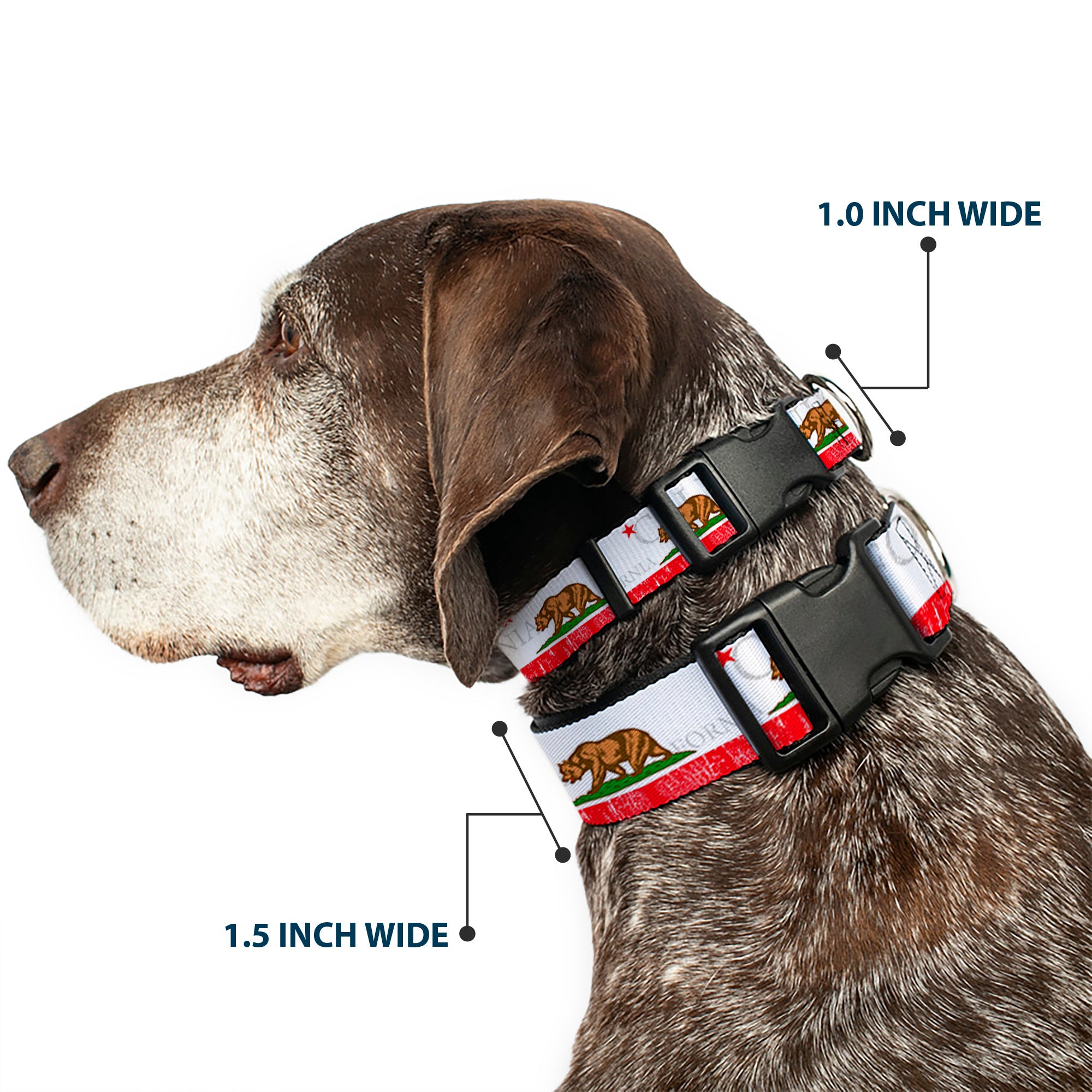 Plastic Clip Collar - CALIFORNIA Bear/Star/Crackle Stripe White/Gray/Red Plastic Clip Collars Buckle-Down