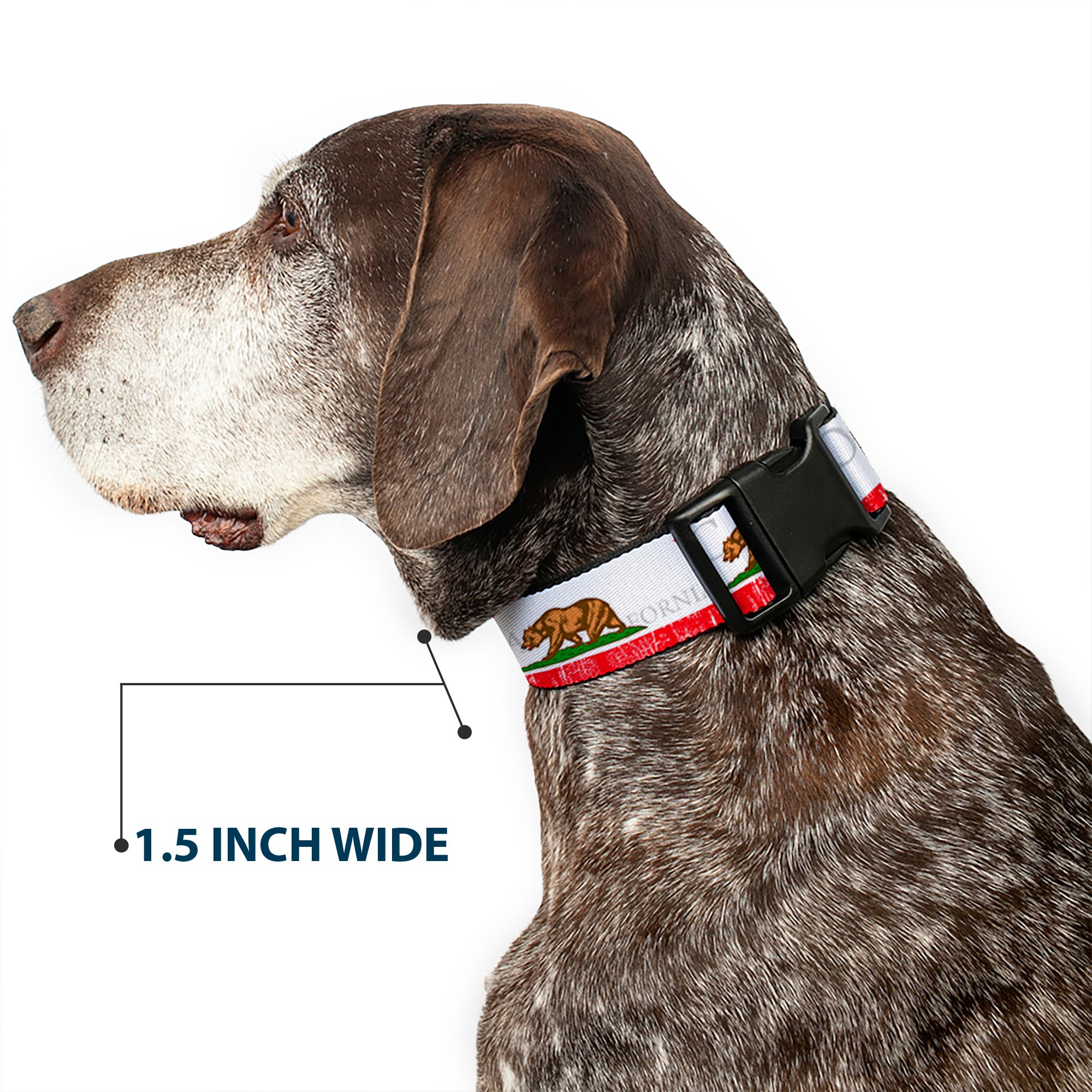 Plastic Clip Collar - CALIFORNIA Bear/Star/Crackle Stripe White/Gray/Red Plastic Clip Collars Buckle-Down