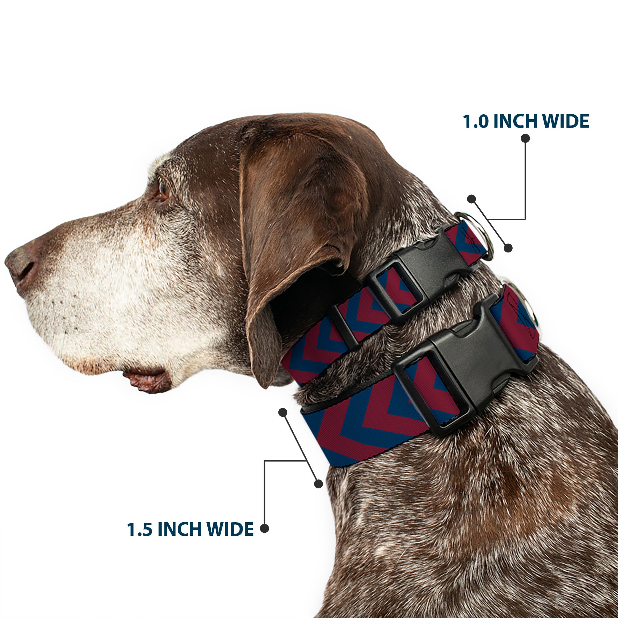 Plastic Clip Collar - Chevron2 Red/Navy Plastic Clip Collars Buckle-Down
