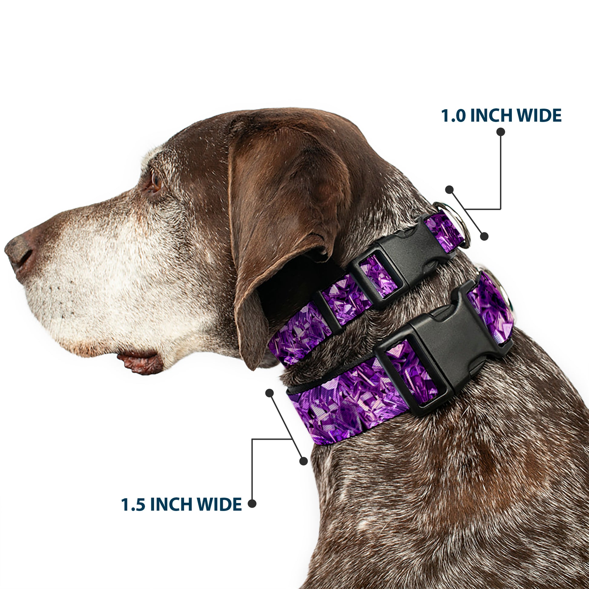 Plastic Clip Collar - Crystals Purples Plastic Clip Collars Buckle-Down