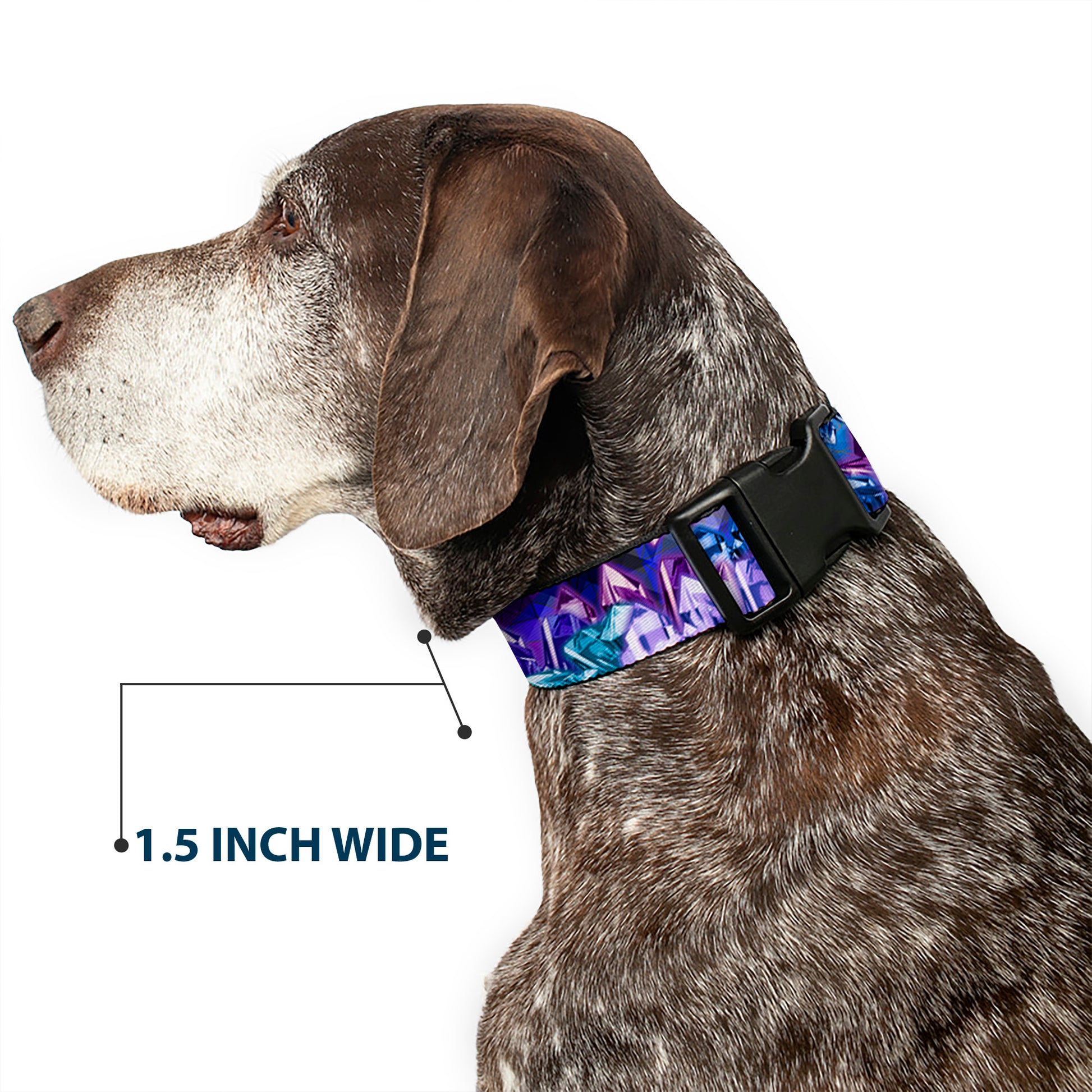 Plastic Clip Collar - Crystals2 Blues/Purples Plastic Clip Collars Buckle-Down