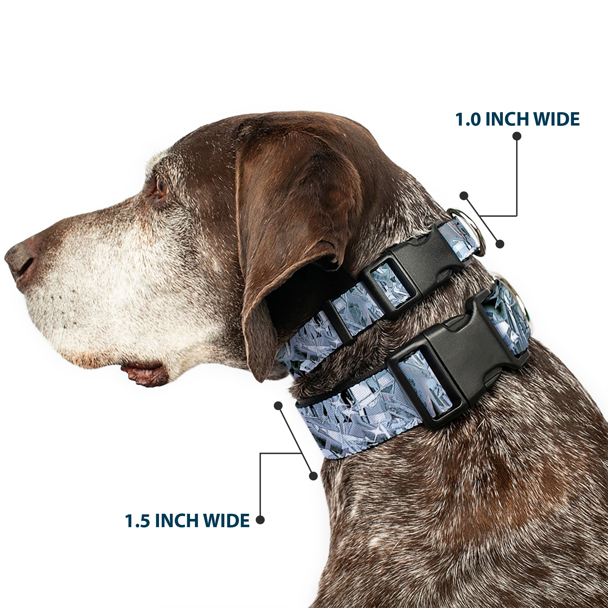 Plastic Clip Collar - Crystals3 Clear Plastic Clip Collars Buckle-Down