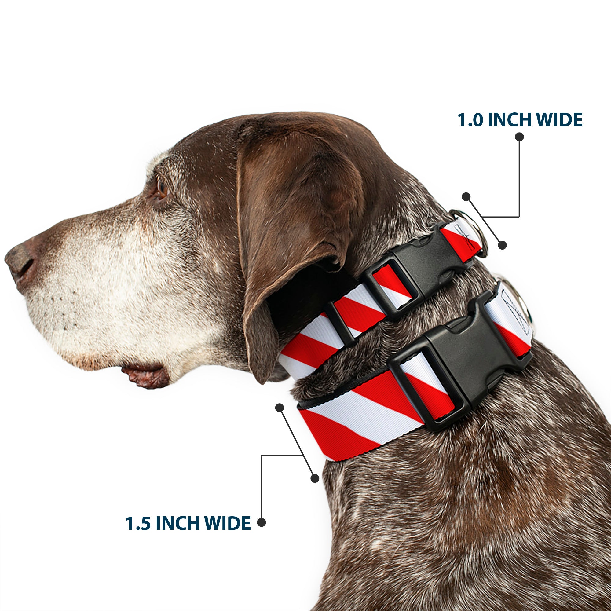 Plastic Clip Collar - Candy Cane2 Stripe White/Red Plastic Clip Collars Buckle-Down