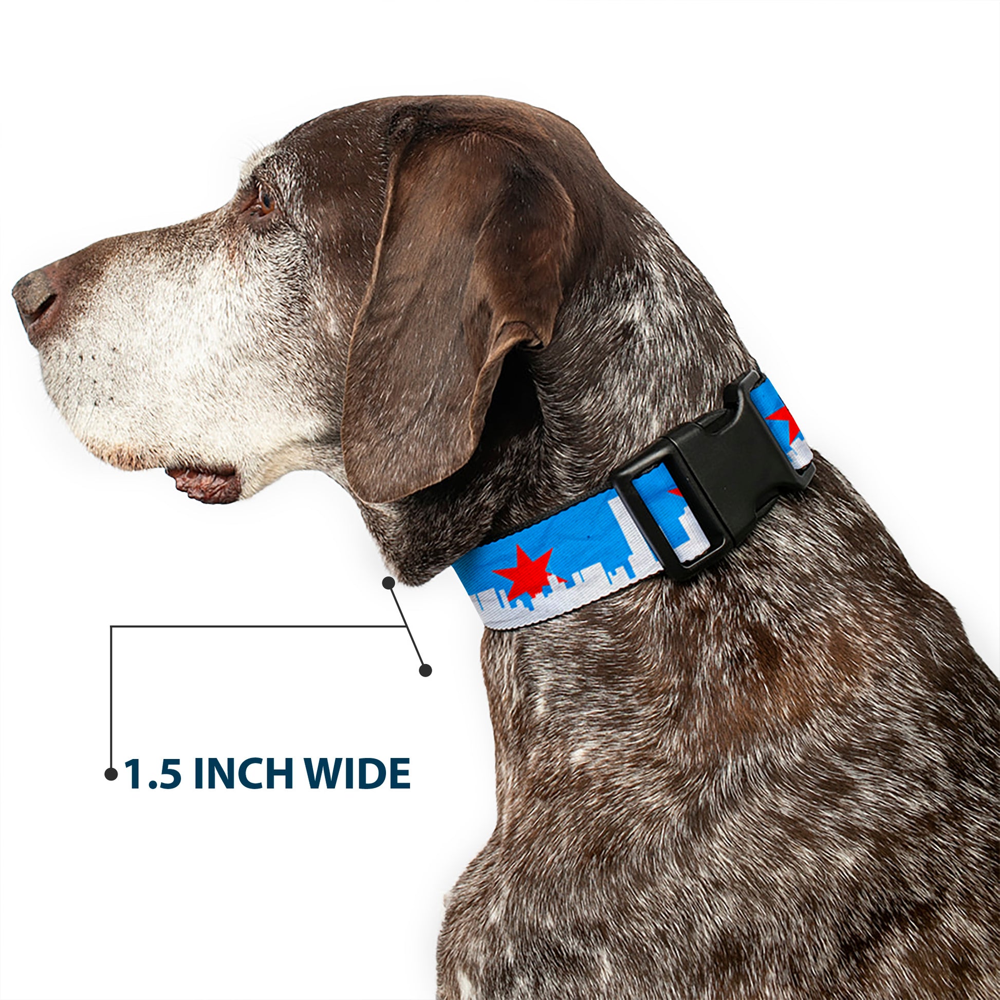 Plastic Clip Collar - Chicago Skyline/Flag Distressed Black/White/Red Plastic Clip Collars Buckle-Down