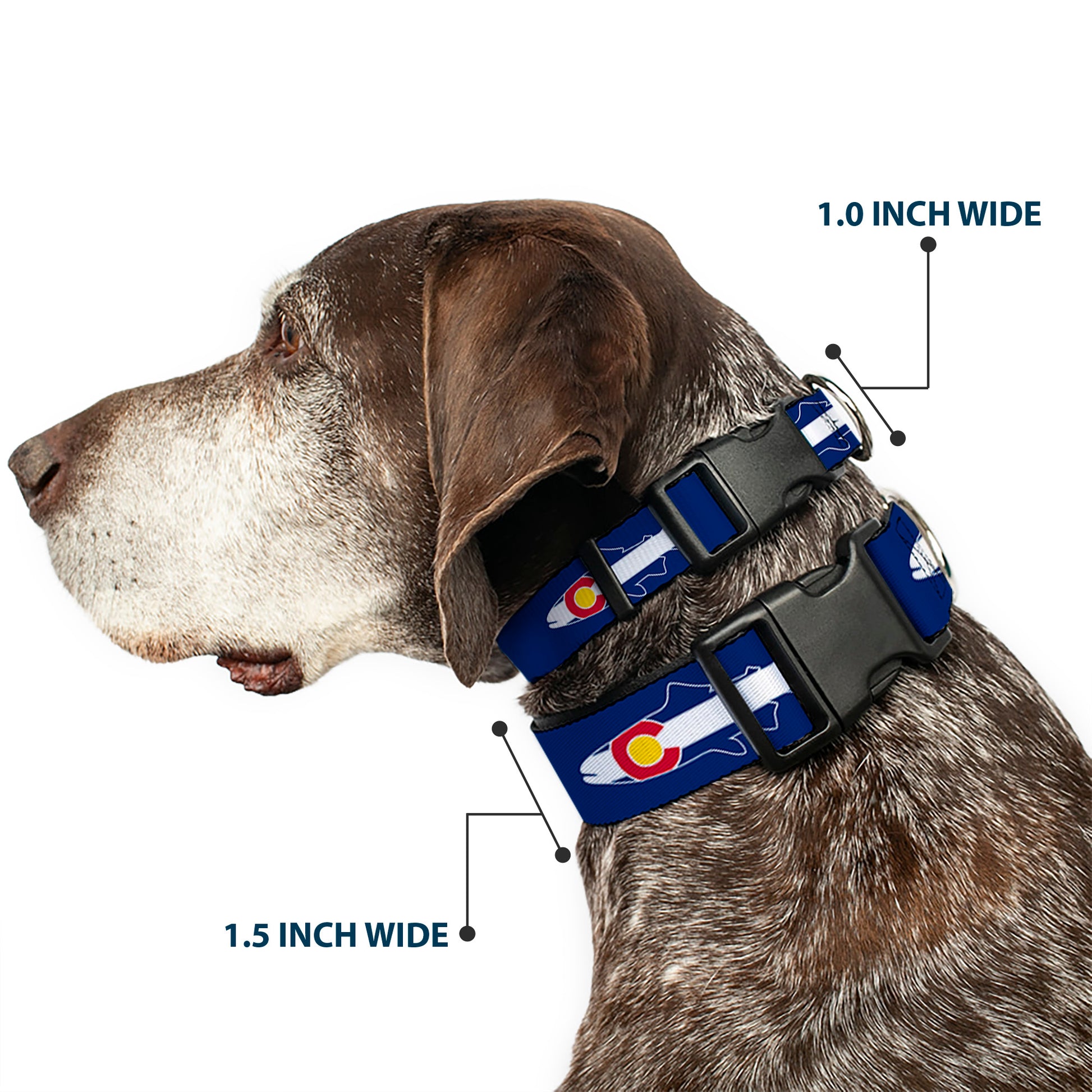 Plastic Clip Collar - Colorado Trout Flag/Snowy Mountains Blues/White/Red/Yellow Plastic Clip Collars Buckle-Down