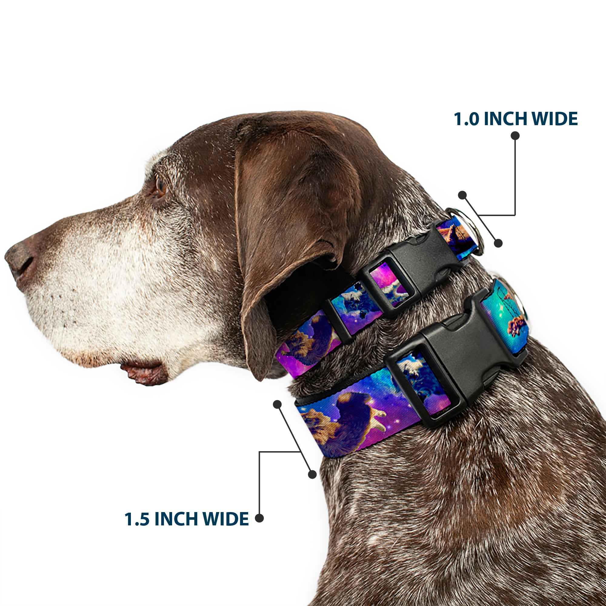 Plastic Clip Collar - Cats in Space Pinks/Blues Plastic Clip Collars Buckle-Down
