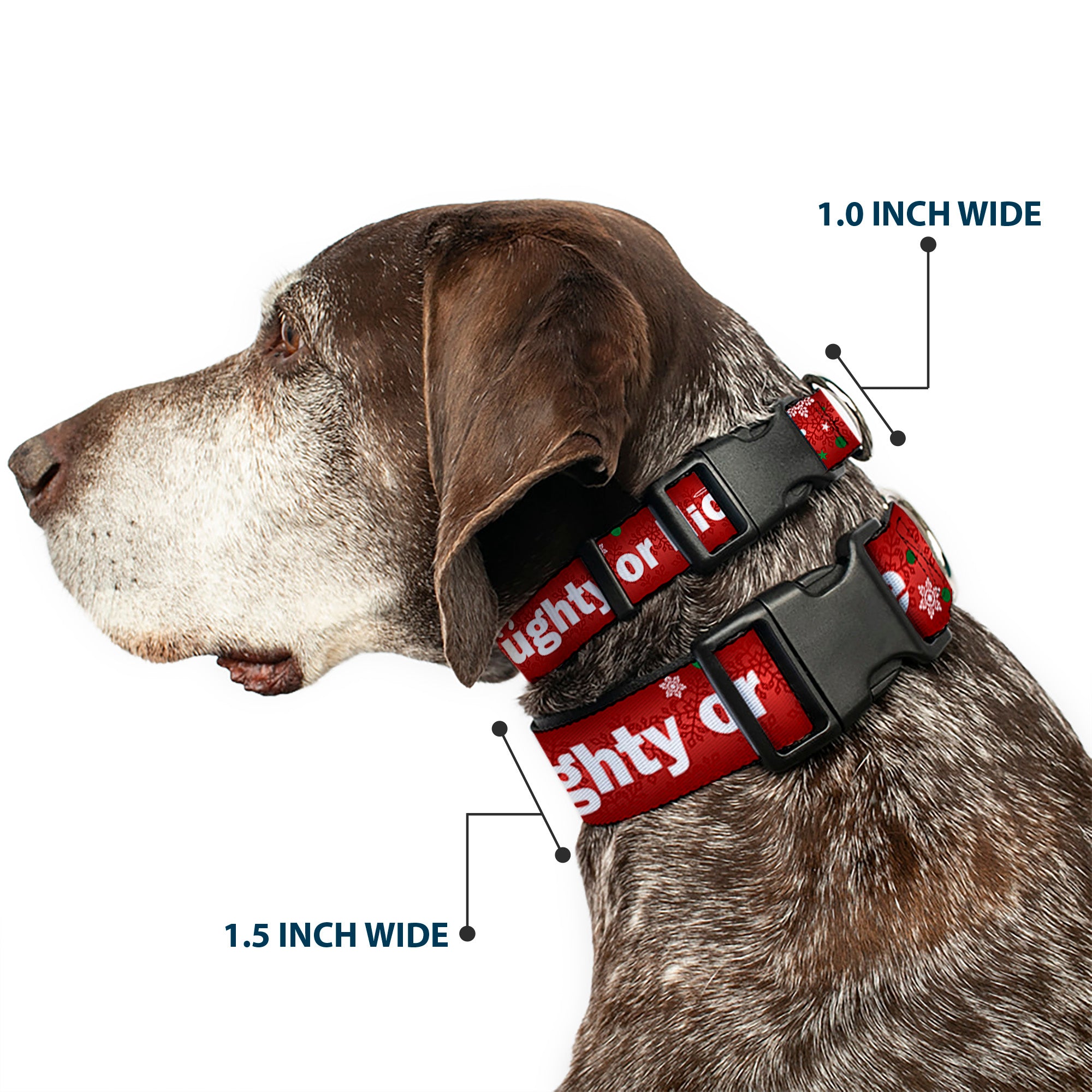 Plastic Clip Collar - Christmas NAUGHTY OR NICE/Snowflakes Reds/White/Green Plastic Clip Collars Buckle-Down