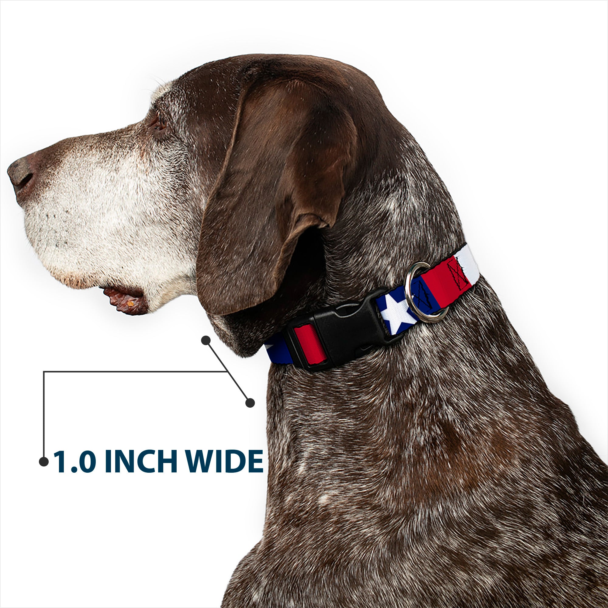Plastic Clip Collar - Stars & Stripes Ribbon Red/Blue/White Plastic Clip Collars Buckle-Down