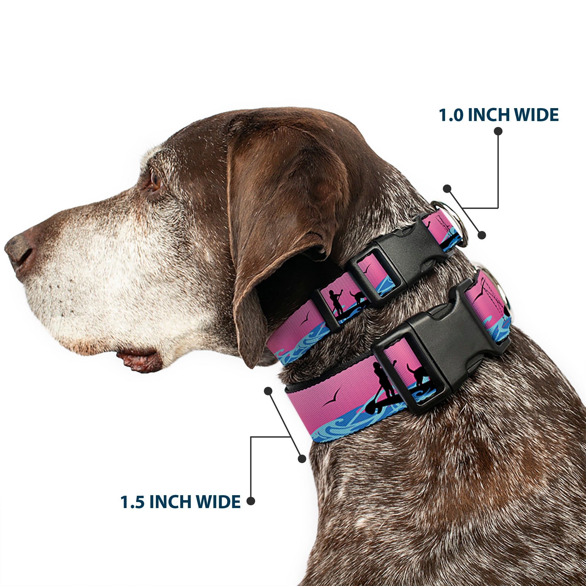 Plastic Clip Collar - SUP w/Dog Pink/Blues/Black Plastic Clip Collars Buckle-Down