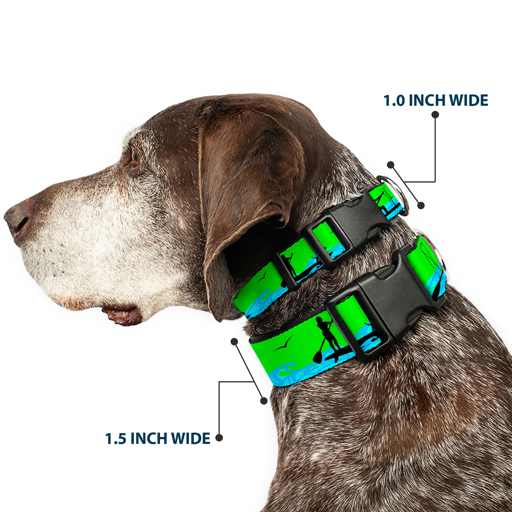 Plastic Clip Collar - SUP w/Dog Neon Green/Blues/Black Plastic Clip Collars Buckle-Down