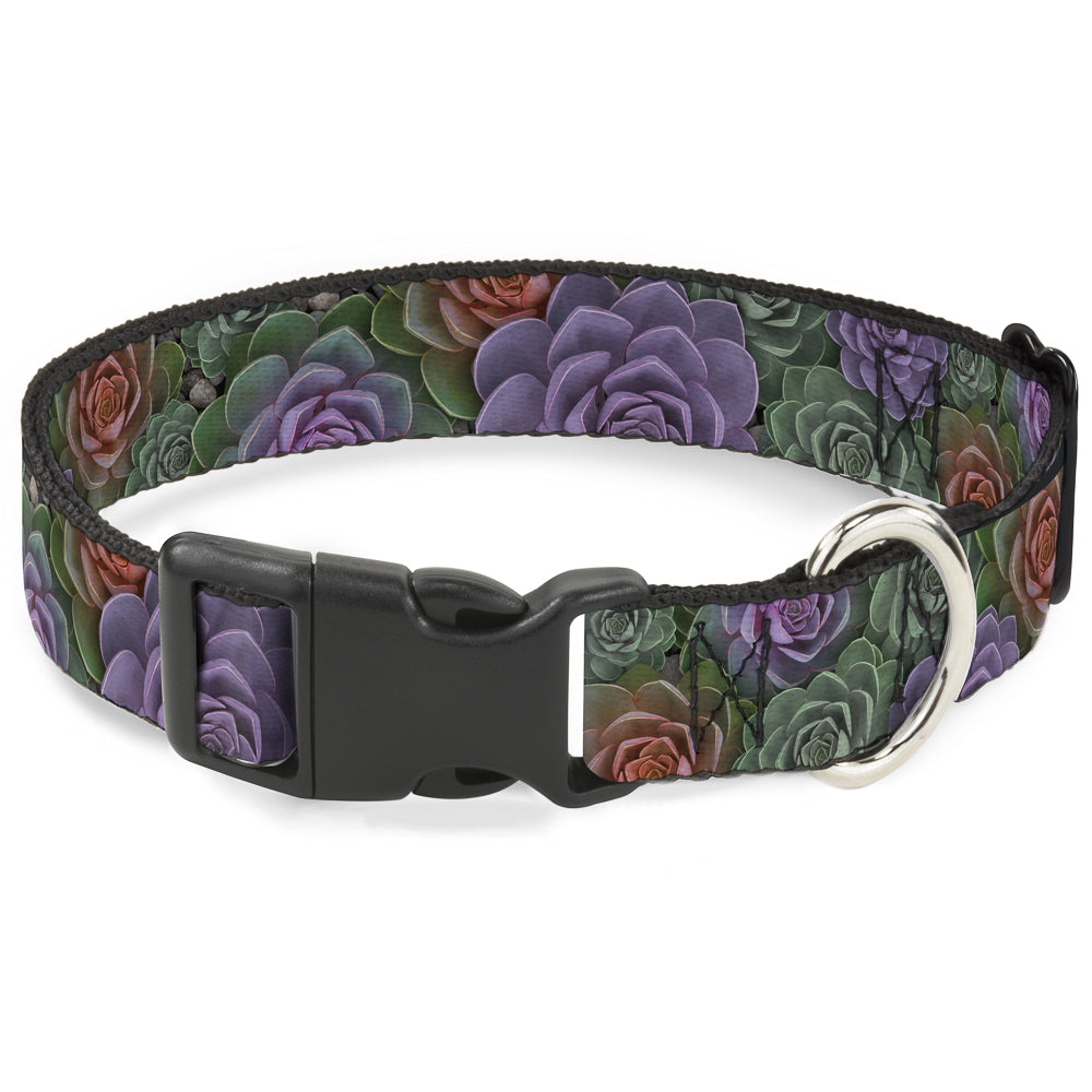 Plastic Clip Collar - Succulents Stacked Green/Pink/Orange Plastic Clip Collars Buckle-Down