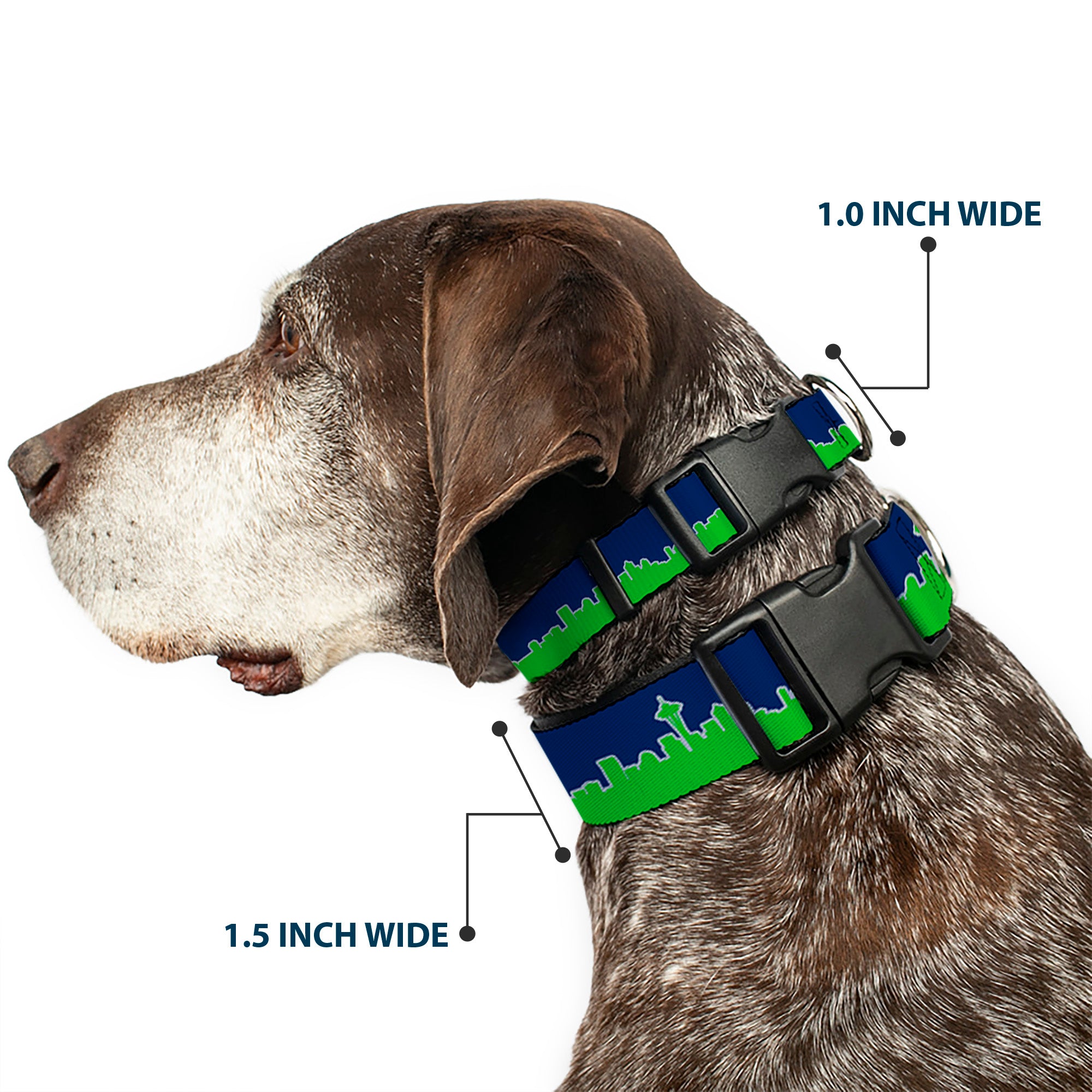 Plastic Clip Collar - Seattle Skyline Navy/Gray/Green Plastic Clip Collars Buckle-Down