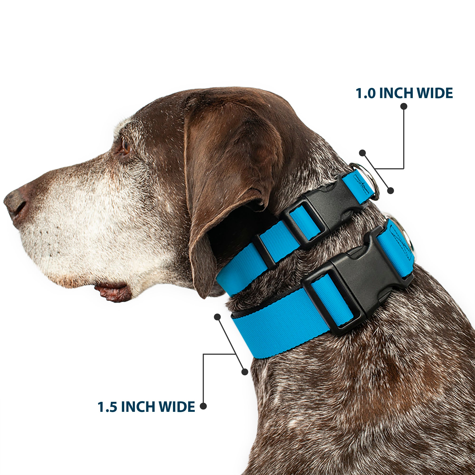 Plastic Clip Collar - Solid Water Blue Plastic Clip Collars Buckle-Down