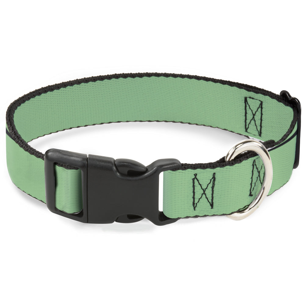 Plastic Clip Collar - Solid Rainforest Green Plastic Clip Collars Buckle-Down