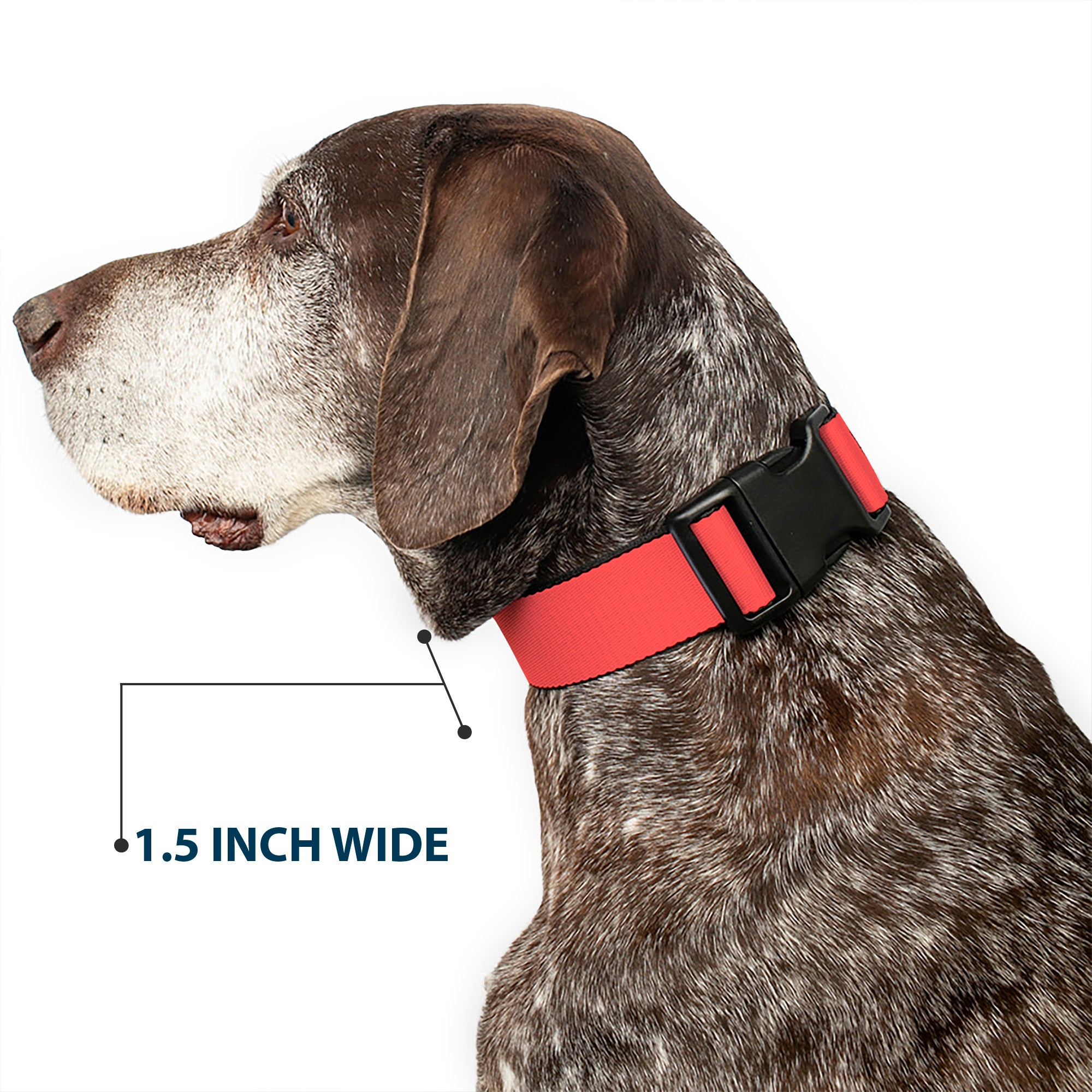 Plastic Clip Collar - Solid Salmon Orange Plastic Clip Collars Buckle-Down