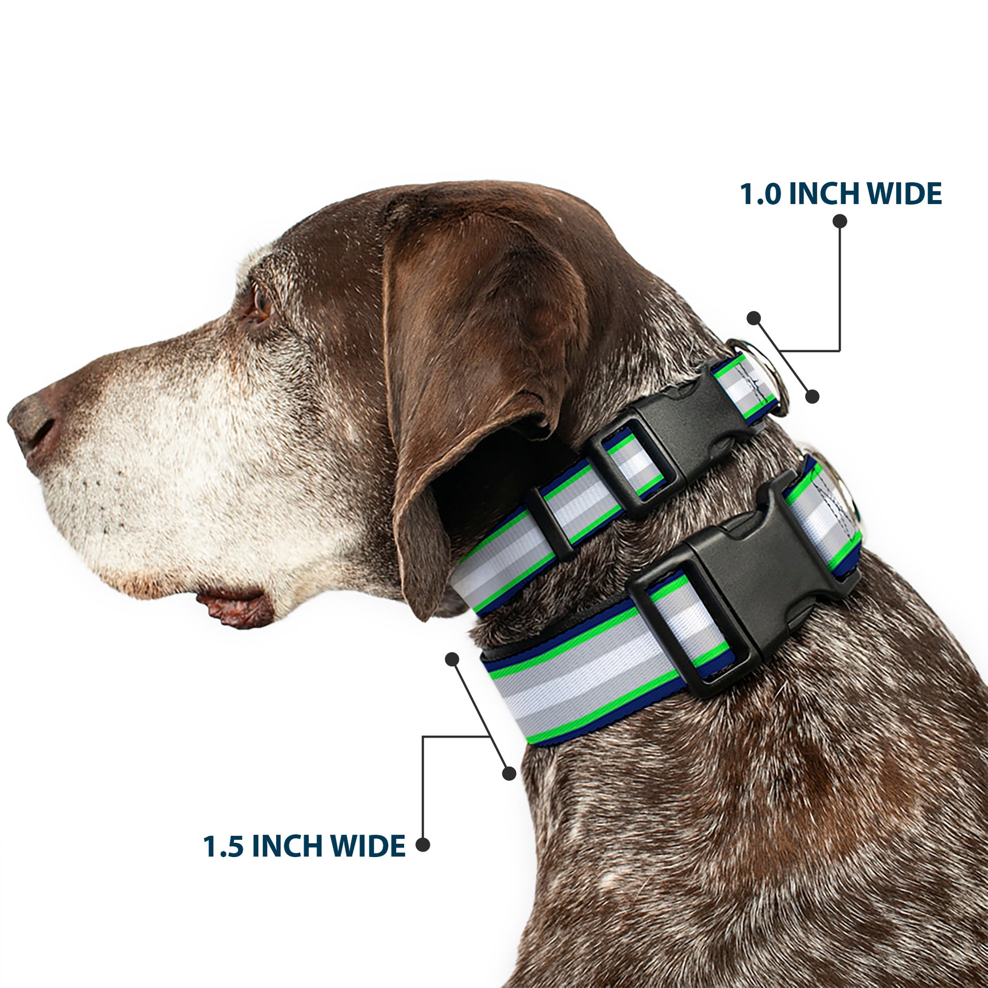 Plastic Clip Collar - Stripes Navy/Neon Green/Silver/White Plastic Clip Collars Buckle-Down