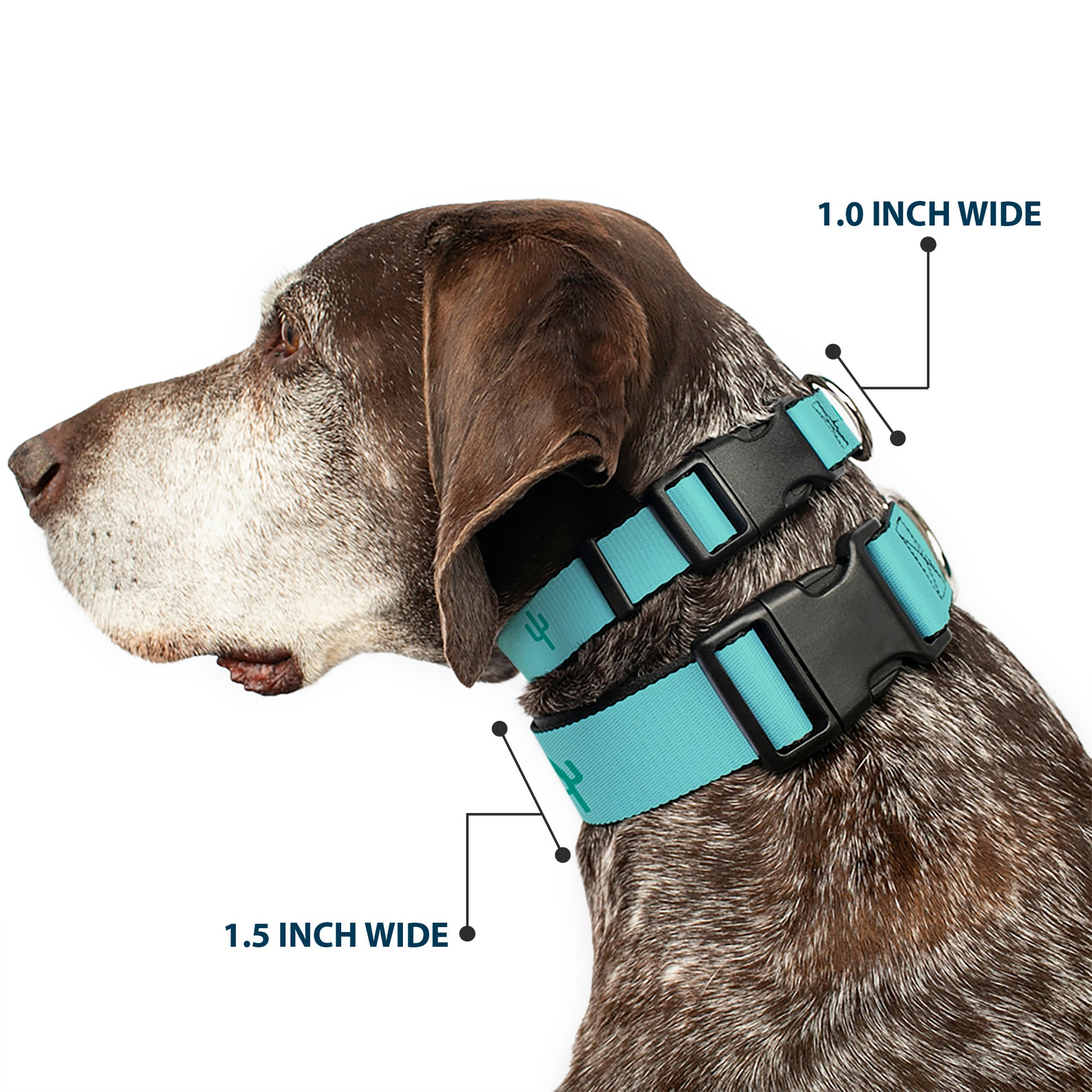 Plastic Clip Collar - Cacti1 Aqua Blues Plastic Clip Collars Buckle-Down