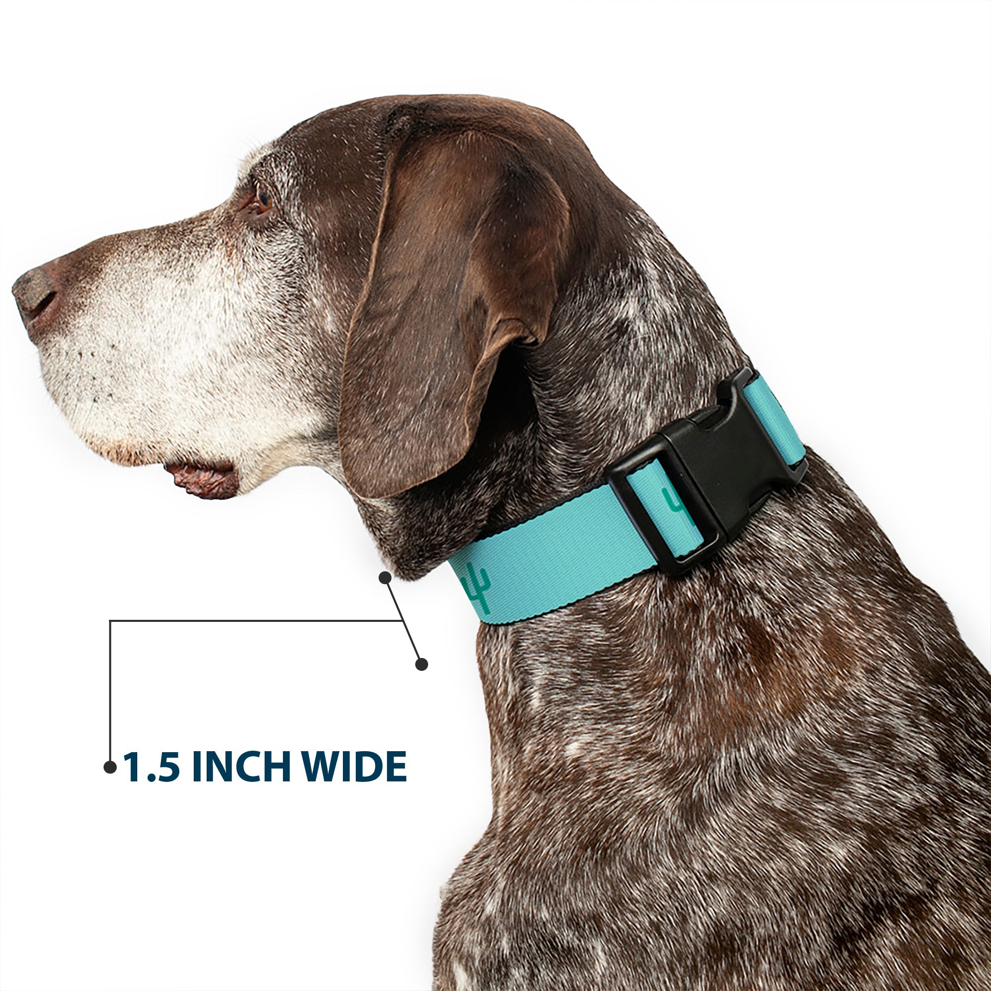 Plastic Clip Collar - Cacti1 Aqua Blues Plastic Clip Collars Buckle-Down