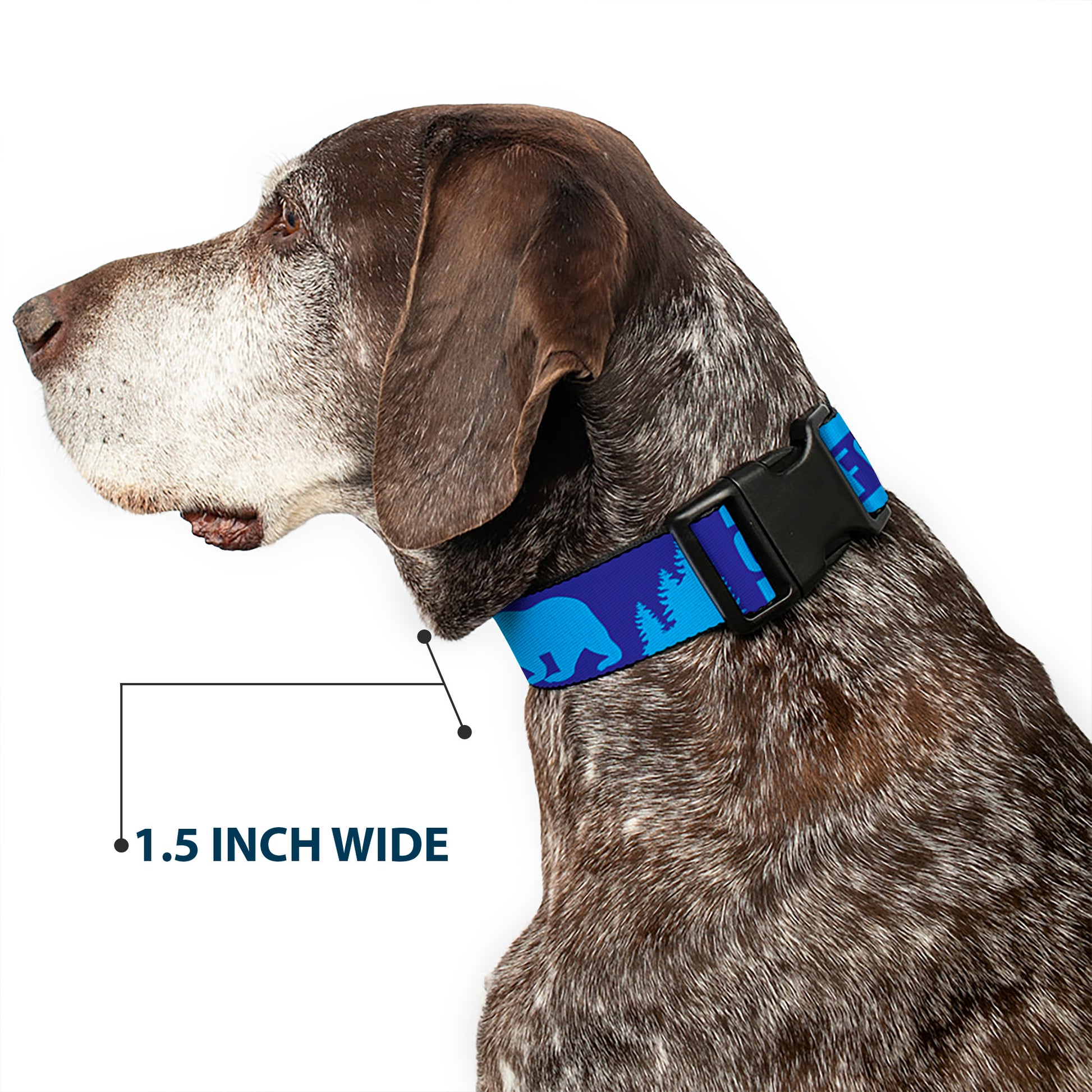 Plastic Clip Collar - CALIFORNIA REPUBLIC/Bear/Stars Silhouette Blues Plastic Clip Collars Buckle-Down