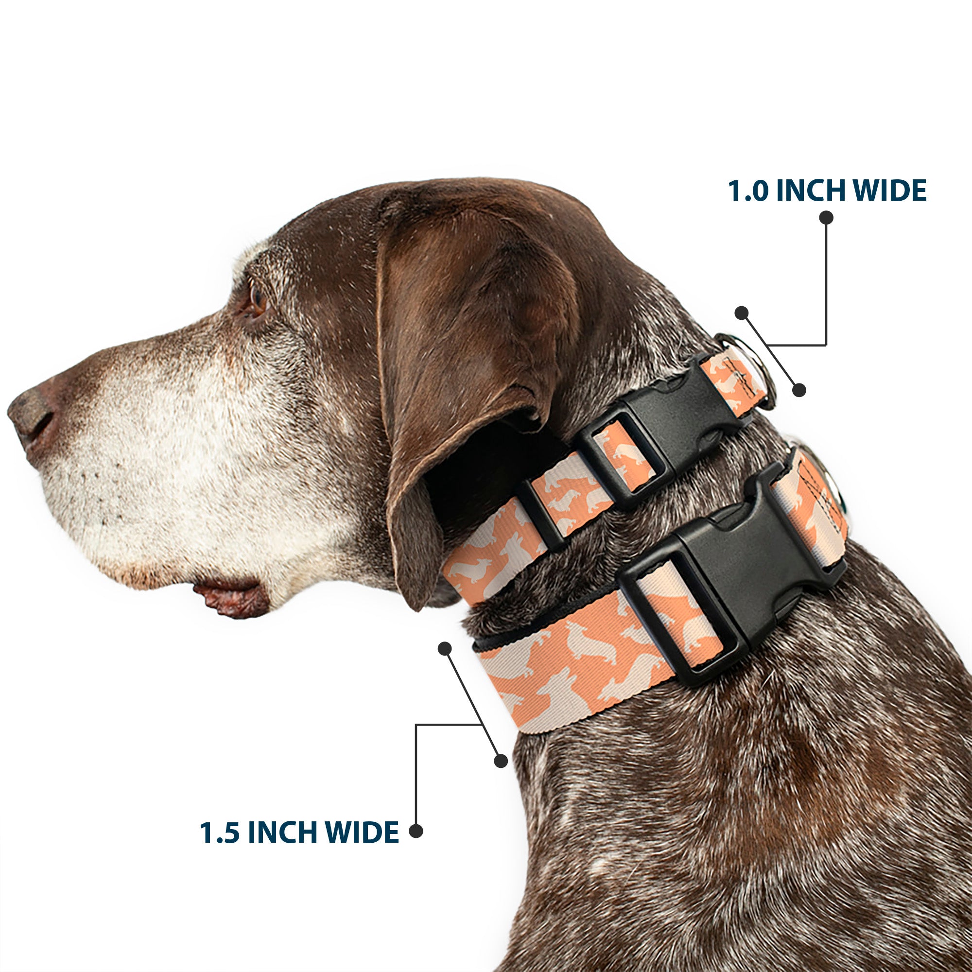 Plastic Clip Collar - Corgi Silhouette Poses Golden Tan Plastic Clip Collars Buckle-Down