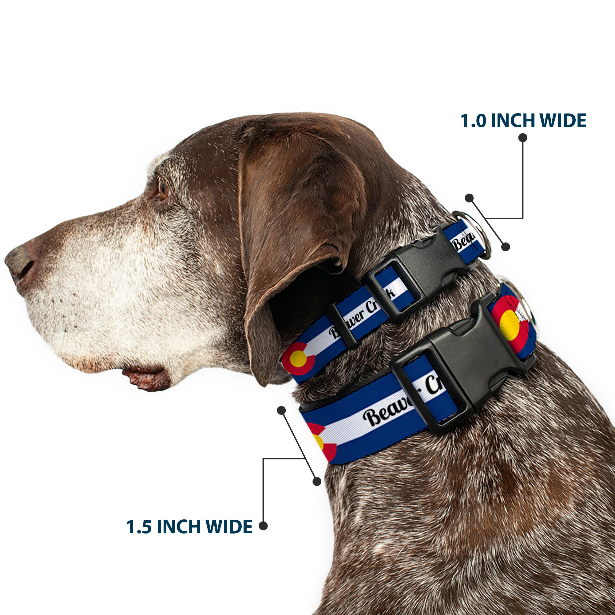 Plastic Clip Collar - Colorado BEAVER CREEK Flag Blue/White/Red/Yellow Plastic Clip Collars Buckle-Down