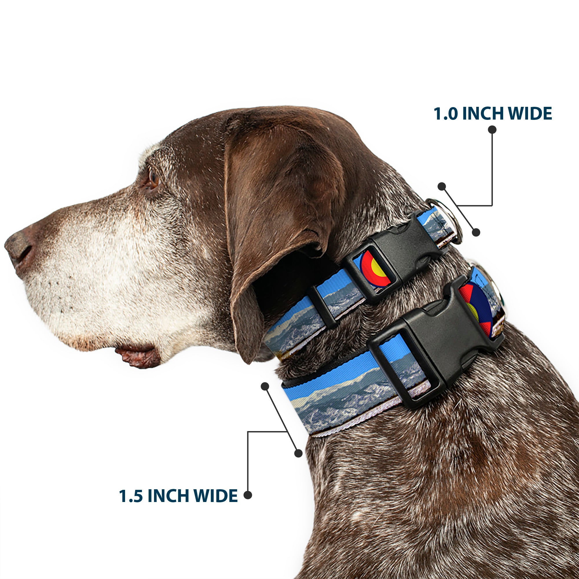 Plastic Clip Collar - Colorado Mount Evans Vivid Landscape/Colorado Flag Icon Plastic Clip Collars Buckle-Down