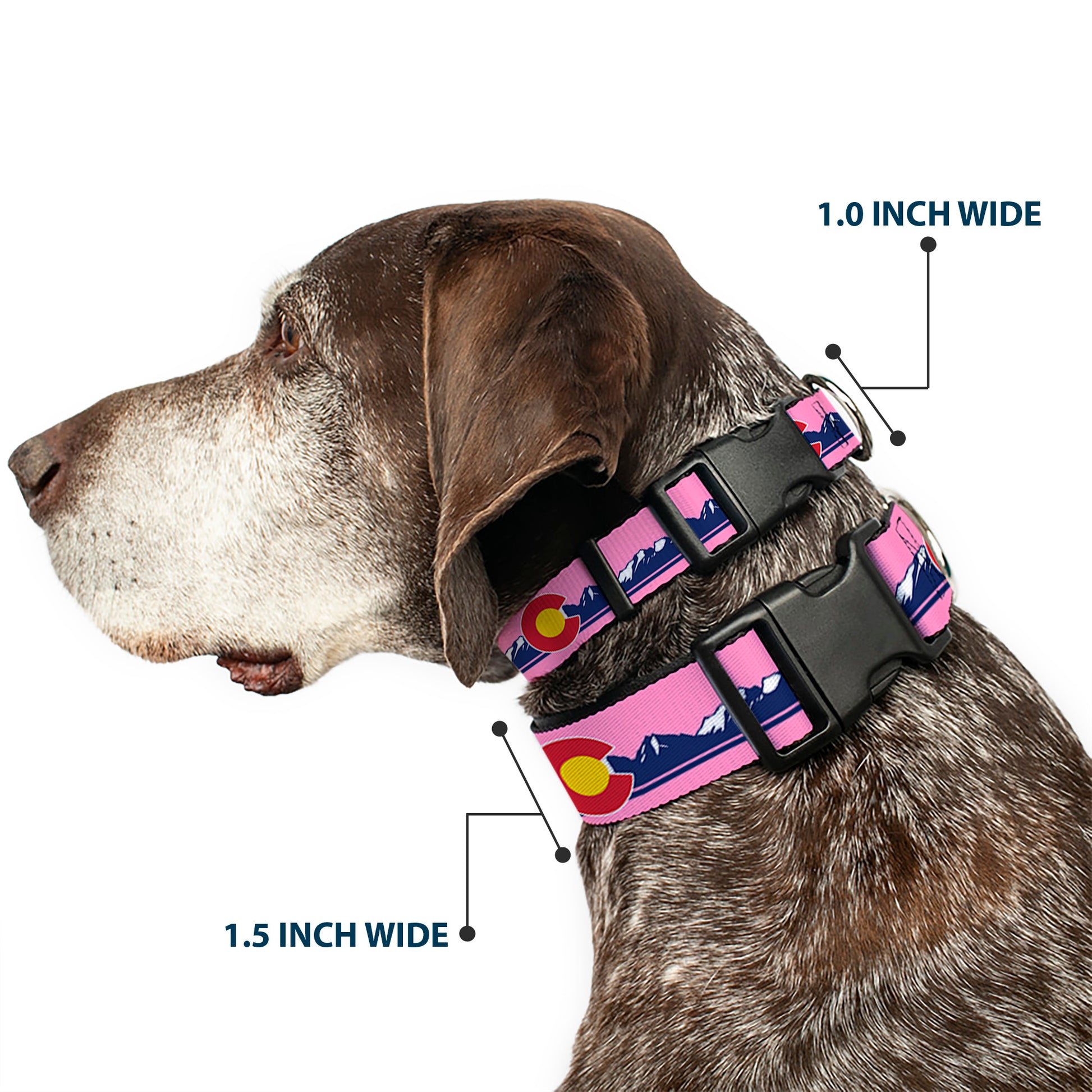 Plastic Clip Collar - Colorado Flag Icon Mountain Skyline Pink/Blue/White Plastic Clip Collars Buckle-Down