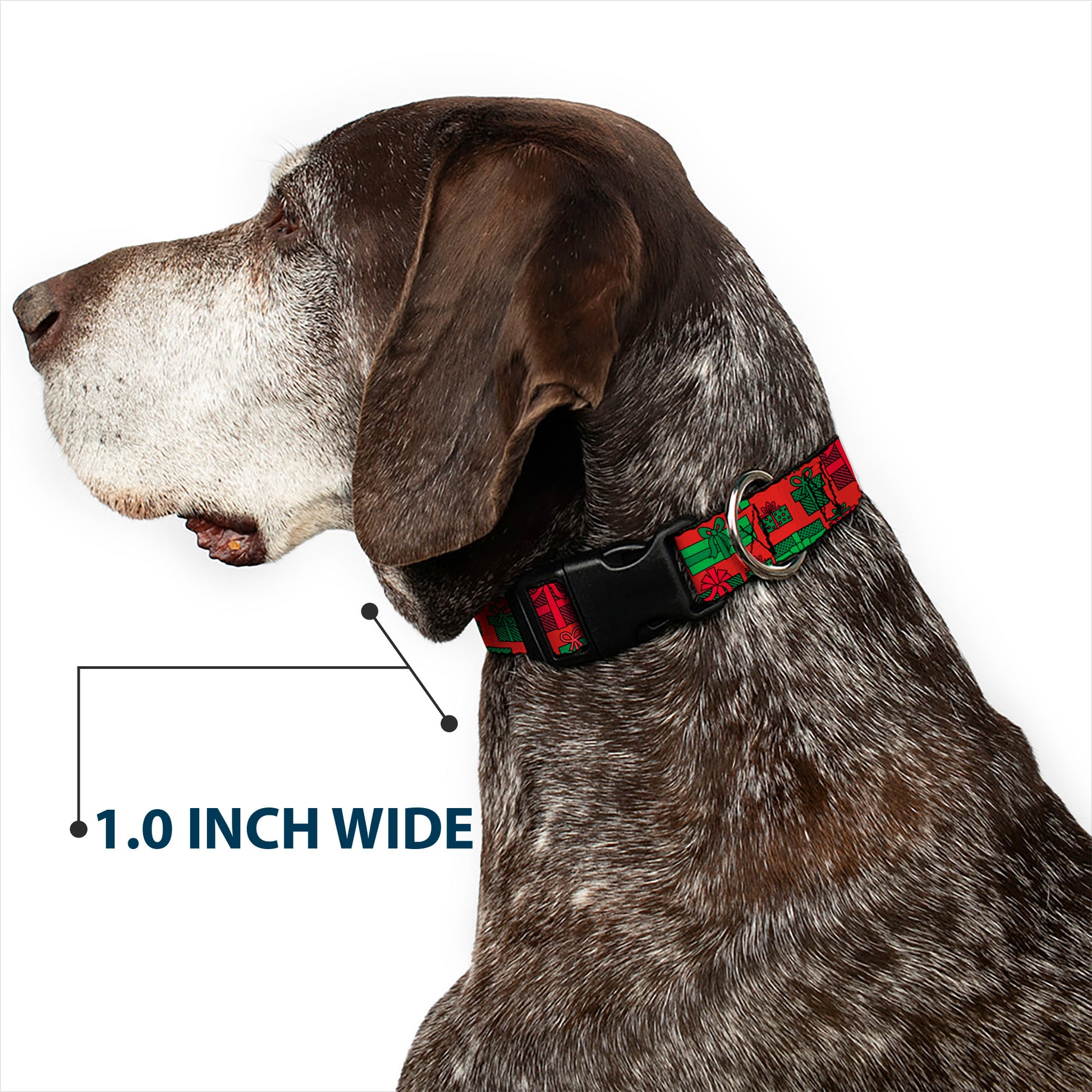 Plastic Clip Collar - Christmas Holiday Gifts Packaged Red/Greens Plastic Clip Collars Buckle-Down