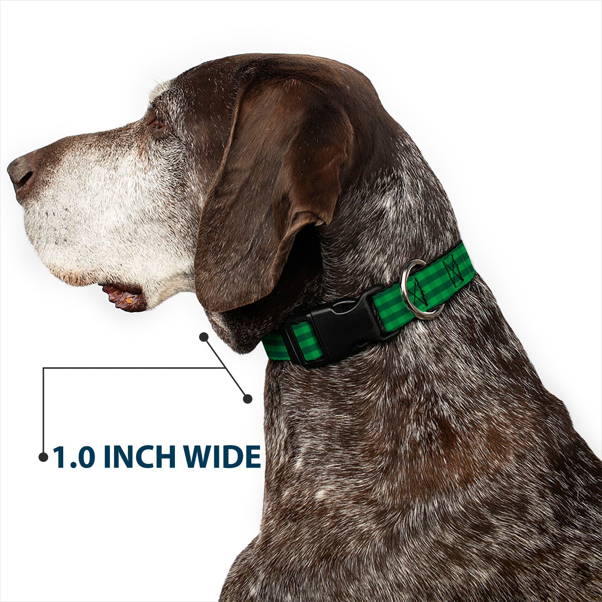 Plastic Clip Collar - Christmas Pajama Plaid Greens Plastic Clip Collars Buckle-Down