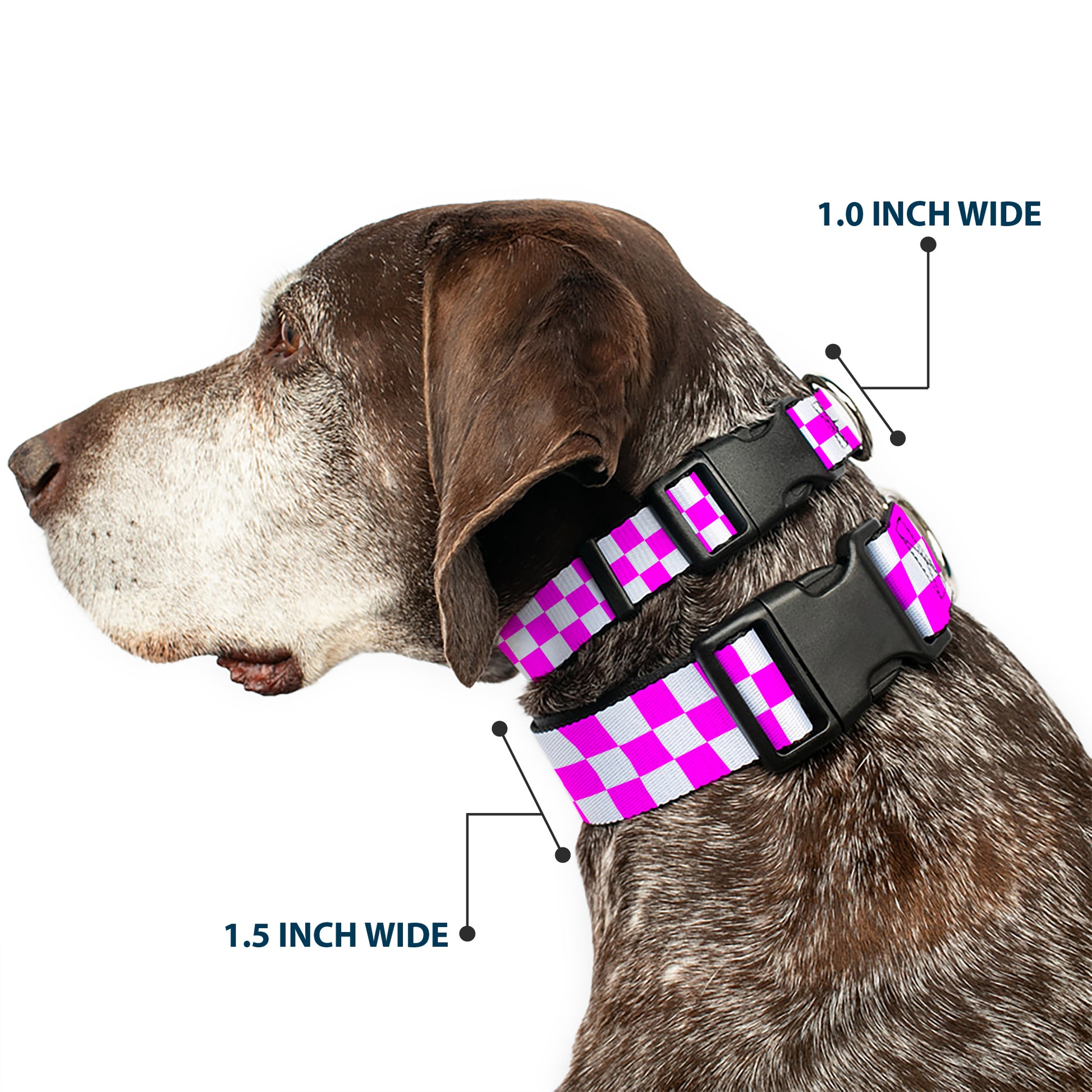 Plastic Clip Collar - Checker Fuchsia Pink/White Plastic Clip Collars Buckle-Down