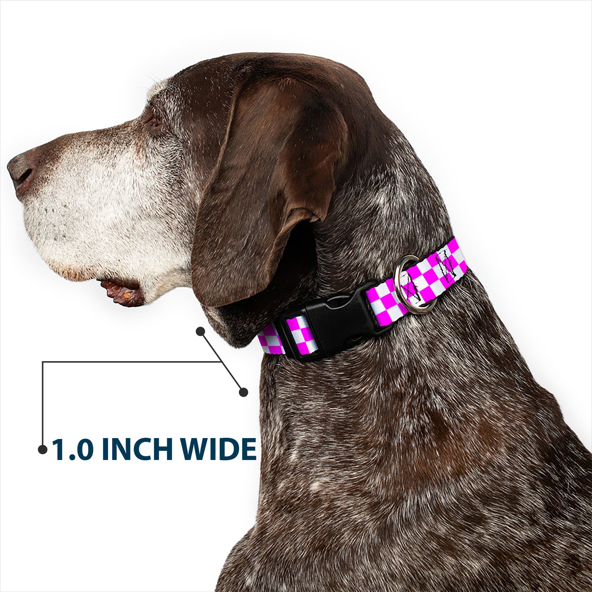 Plastic Clip Collar - Checker Fuchsia Pink/White Plastic Clip Collars Buckle-Down