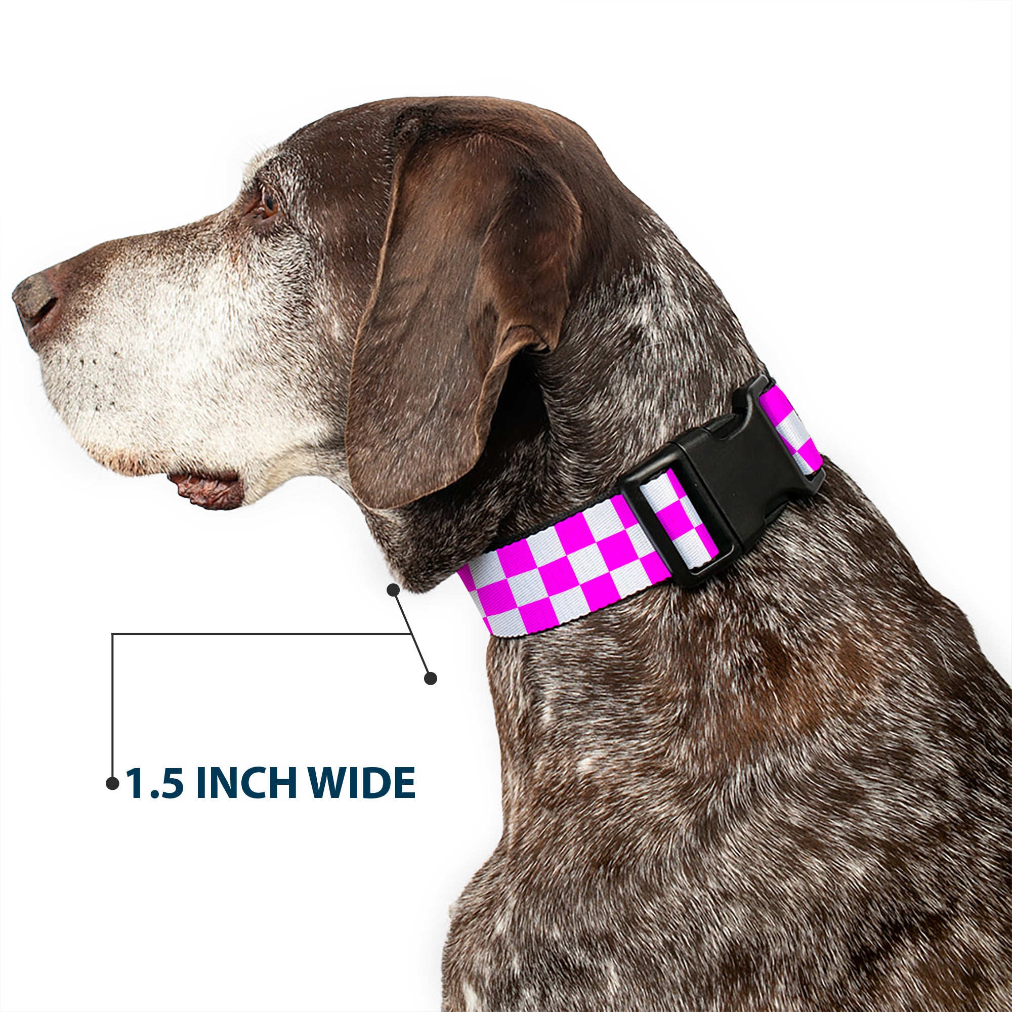 Plastic Clip Collar - Checker Fuchsia Pink/White Plastic Clip Collars Buckle-Down