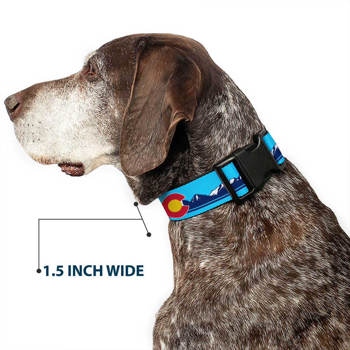 Plastic Clip Collar - Colorado Flag Icon Mountain Skyline Blue/Navy/White Dog Collars Plastic Clip Side Release Buckle-Down
