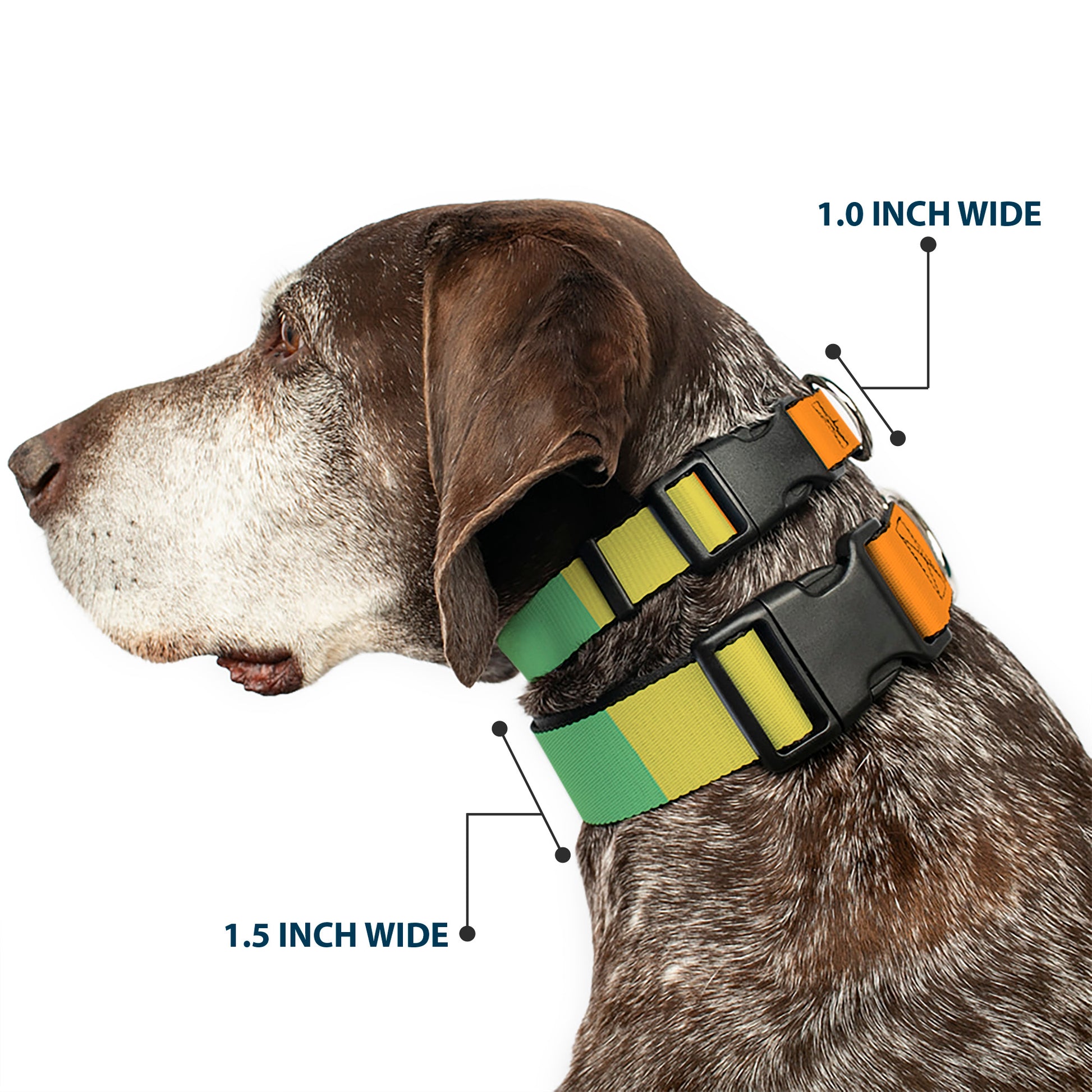 Plastic Clip Collar - Summer Essentials Color Block 1 Plastic Clip Collars Buckle-Down