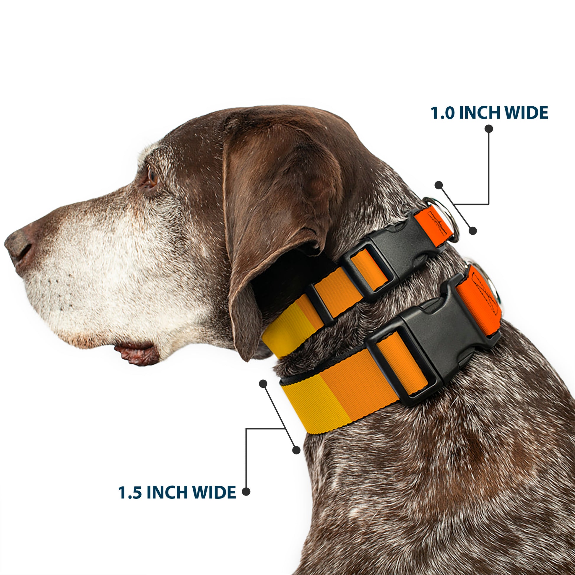 Plastic Clip Collar - Summer Essentials Color Block 2 Plastic Clip Collars Buckle-Down