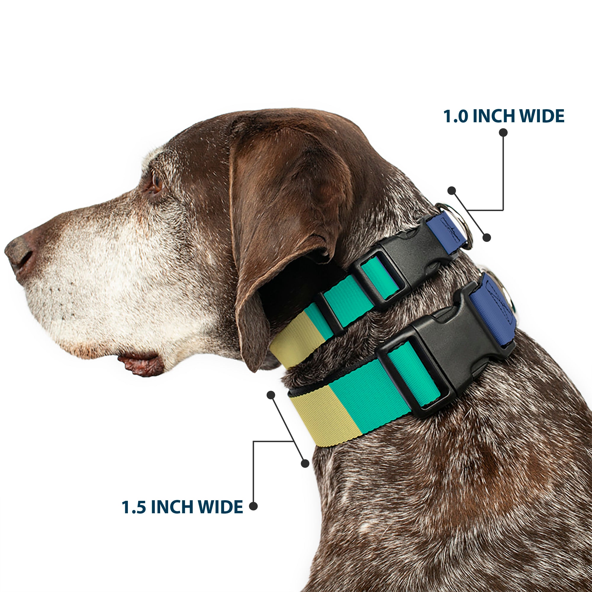 Plastic Clip Collar - Summer Essentials Color Block 3 Plastic Clip Collars Buckle-Down