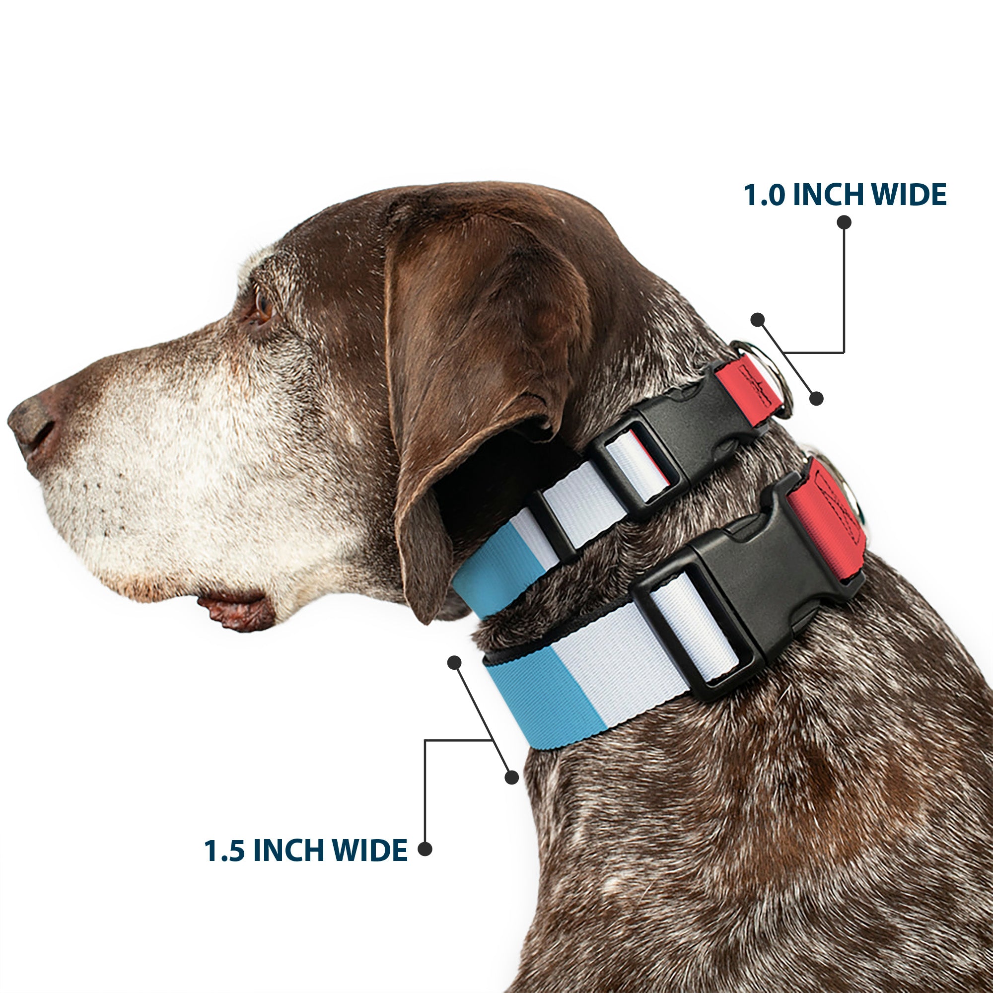 Plastic Clip Collar - Summer Essentials Color Block 4 Plastic Clip Collars Buckle-Down