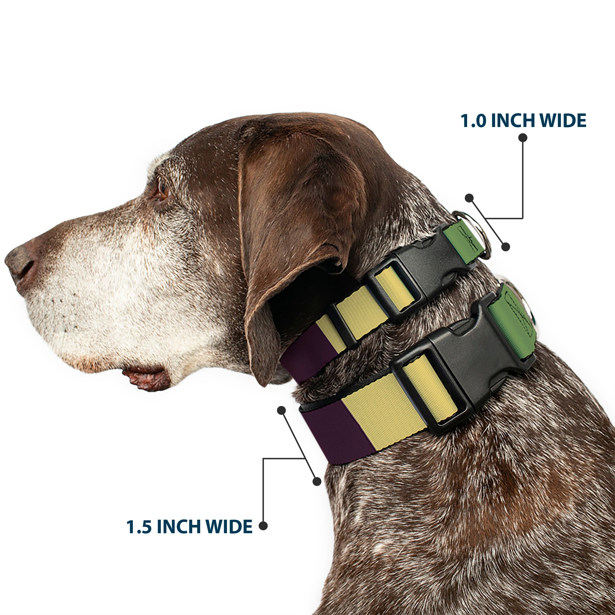 Plastic Clip Collar - Summer Essentials Color Block 5 Plastic Clip Collars Buckle-Down
