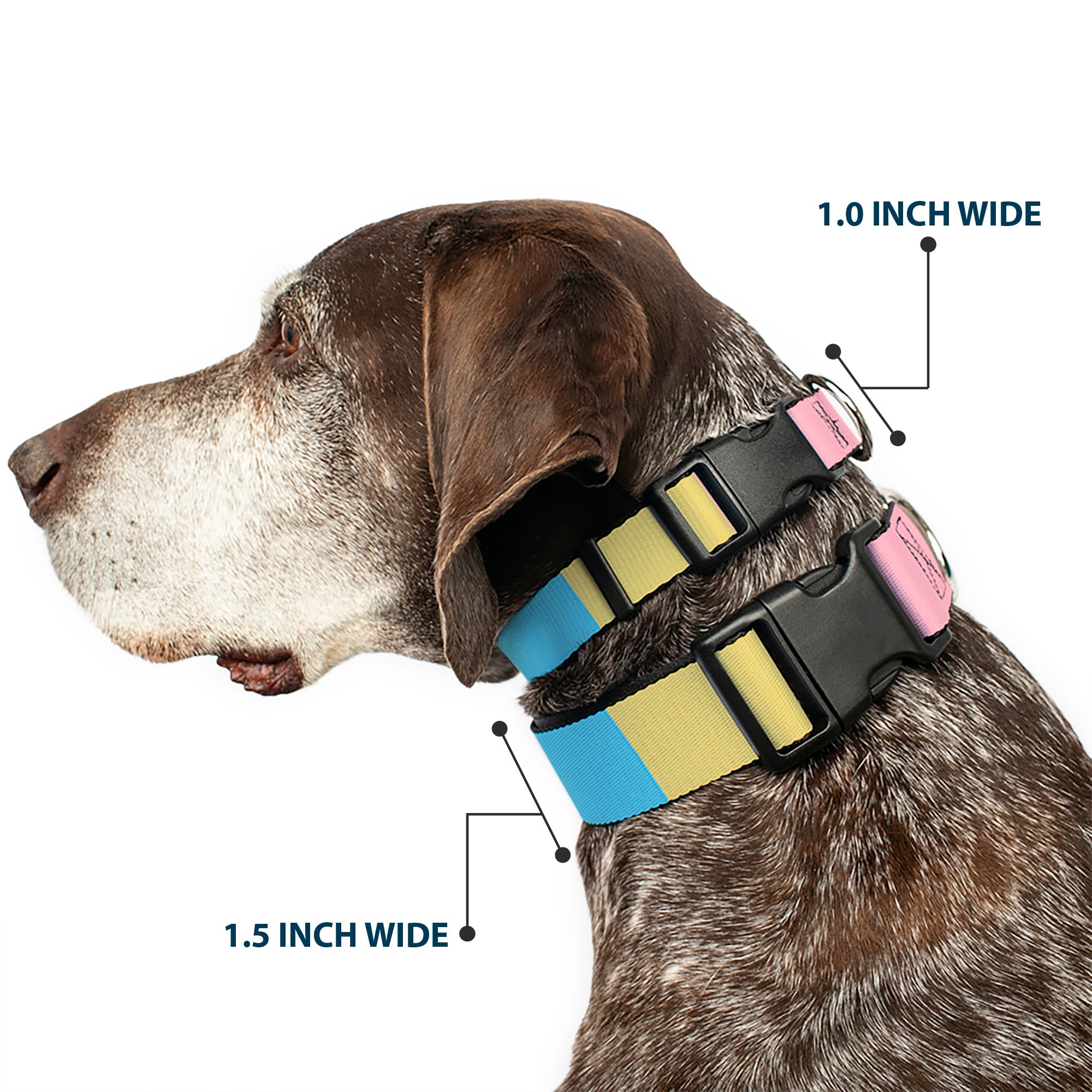 Plastic Clip Collar - Summer Essentials Color Block 6 Plastic Clip Collars Buckle-Down